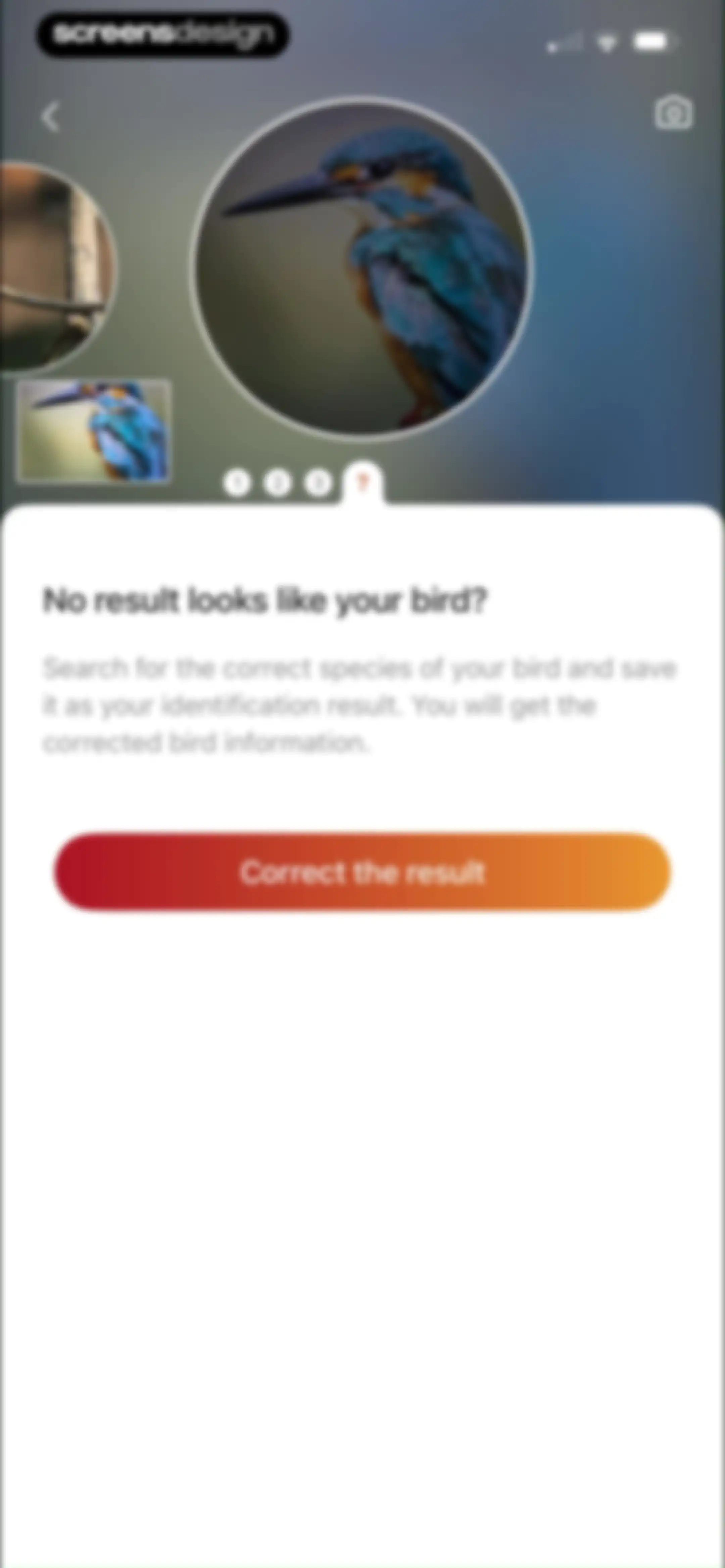 Picture Bird: Bird identifier screen 31