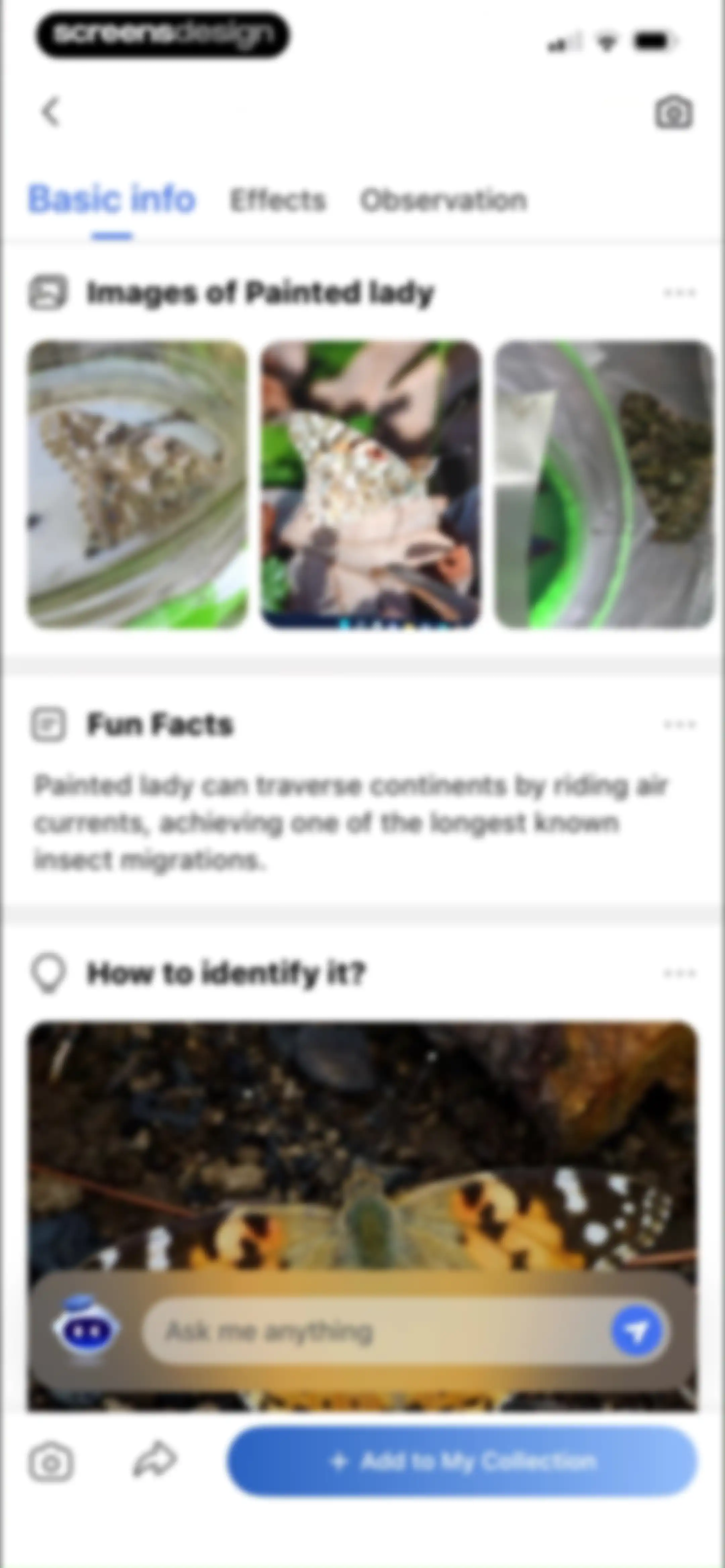 Picture Insect: Bug Identifier screen 55