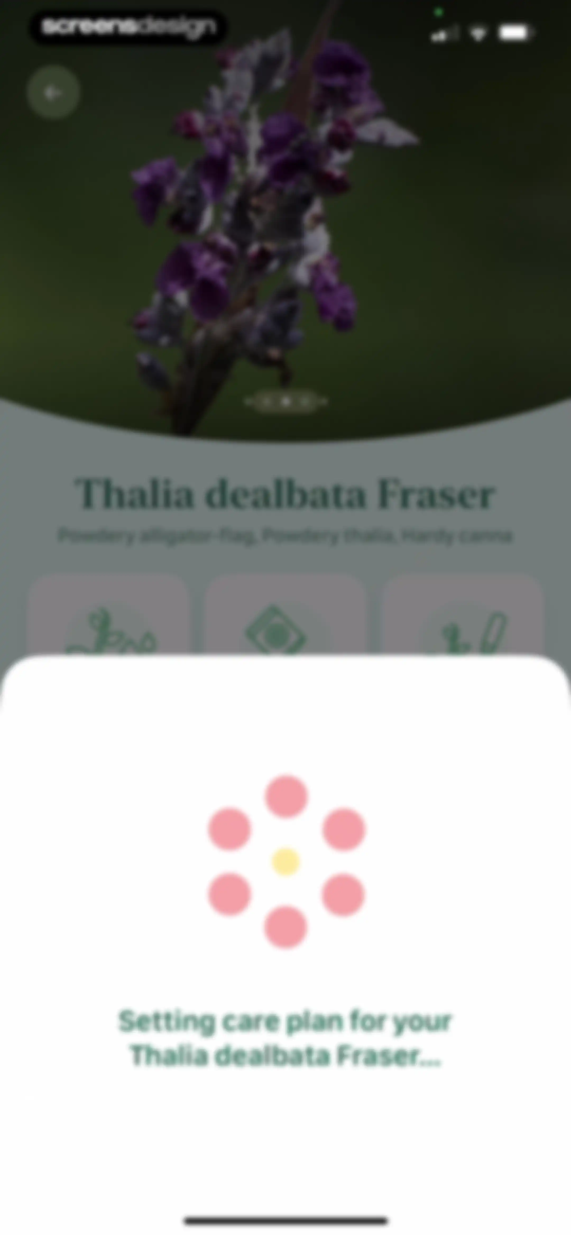 Blossom - Plant Care Guide screen 108