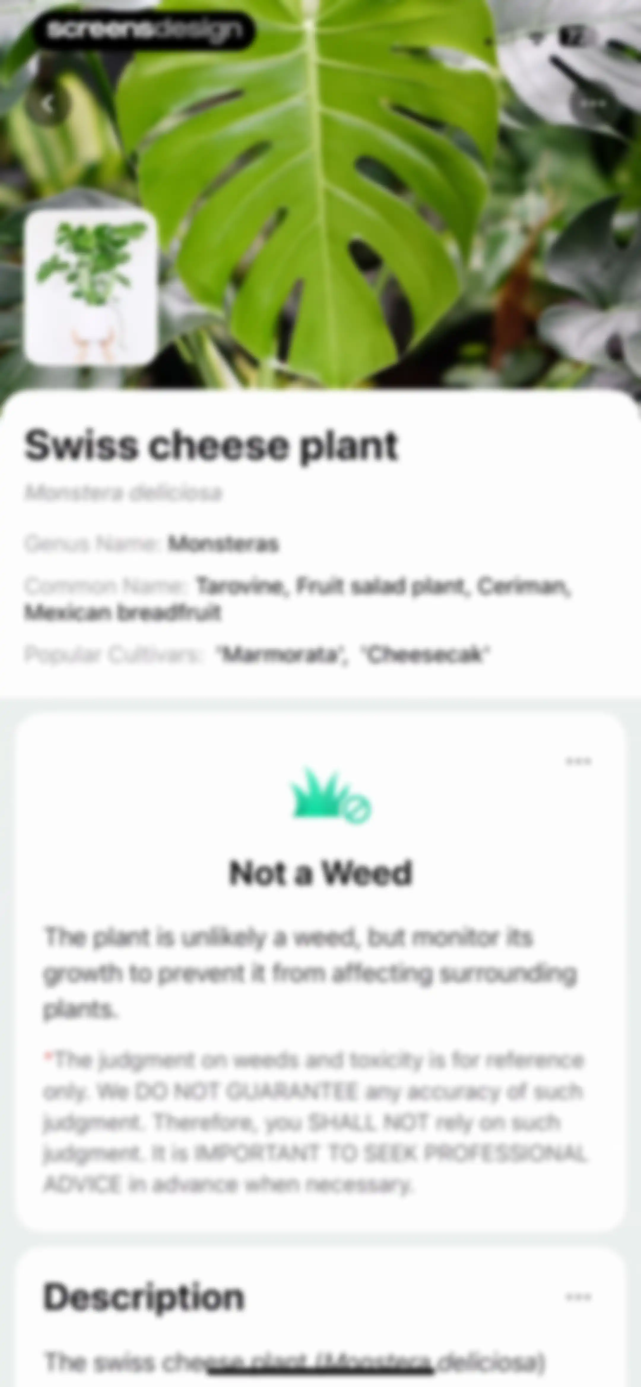 Plant Parent: Plant Care Guide screen 173