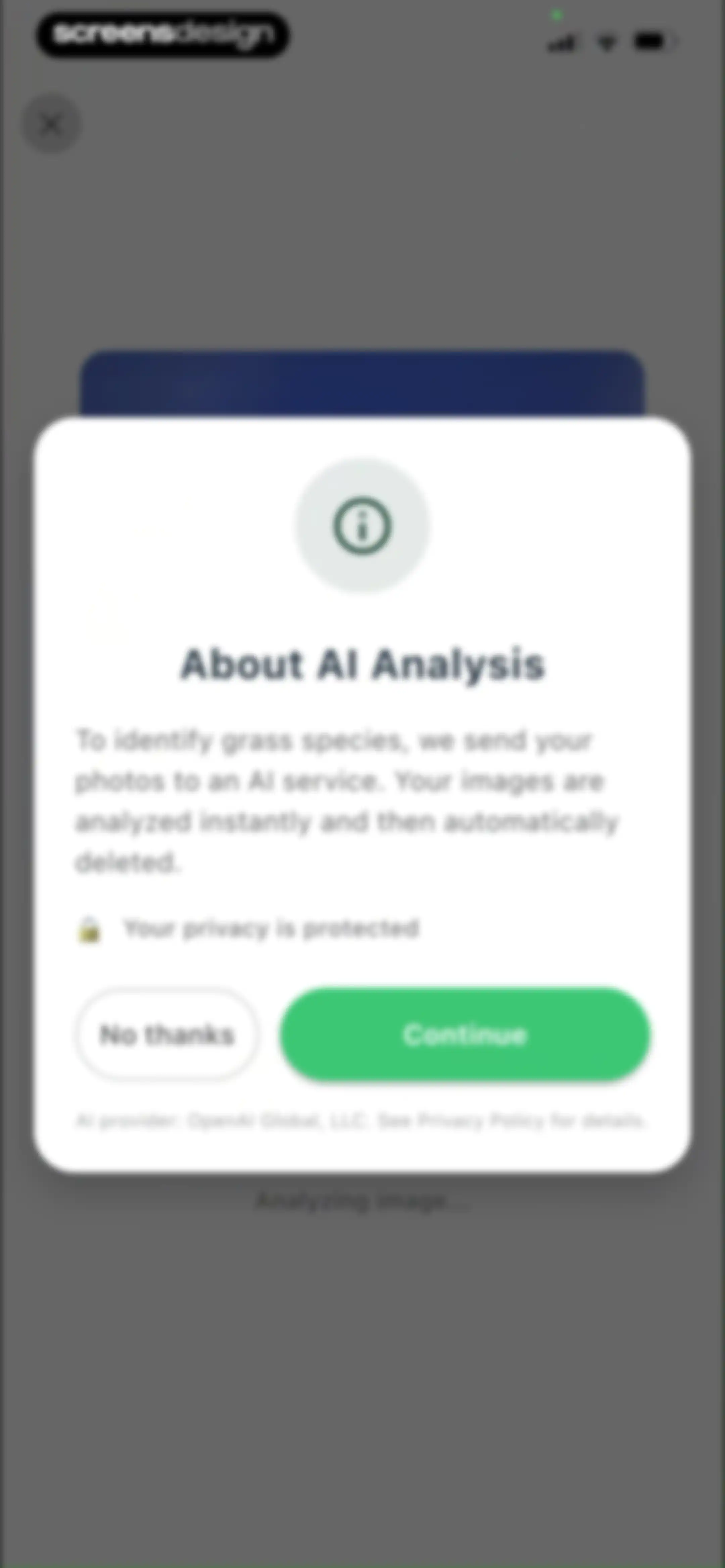 Grass Identifier: AI Scan screen 19