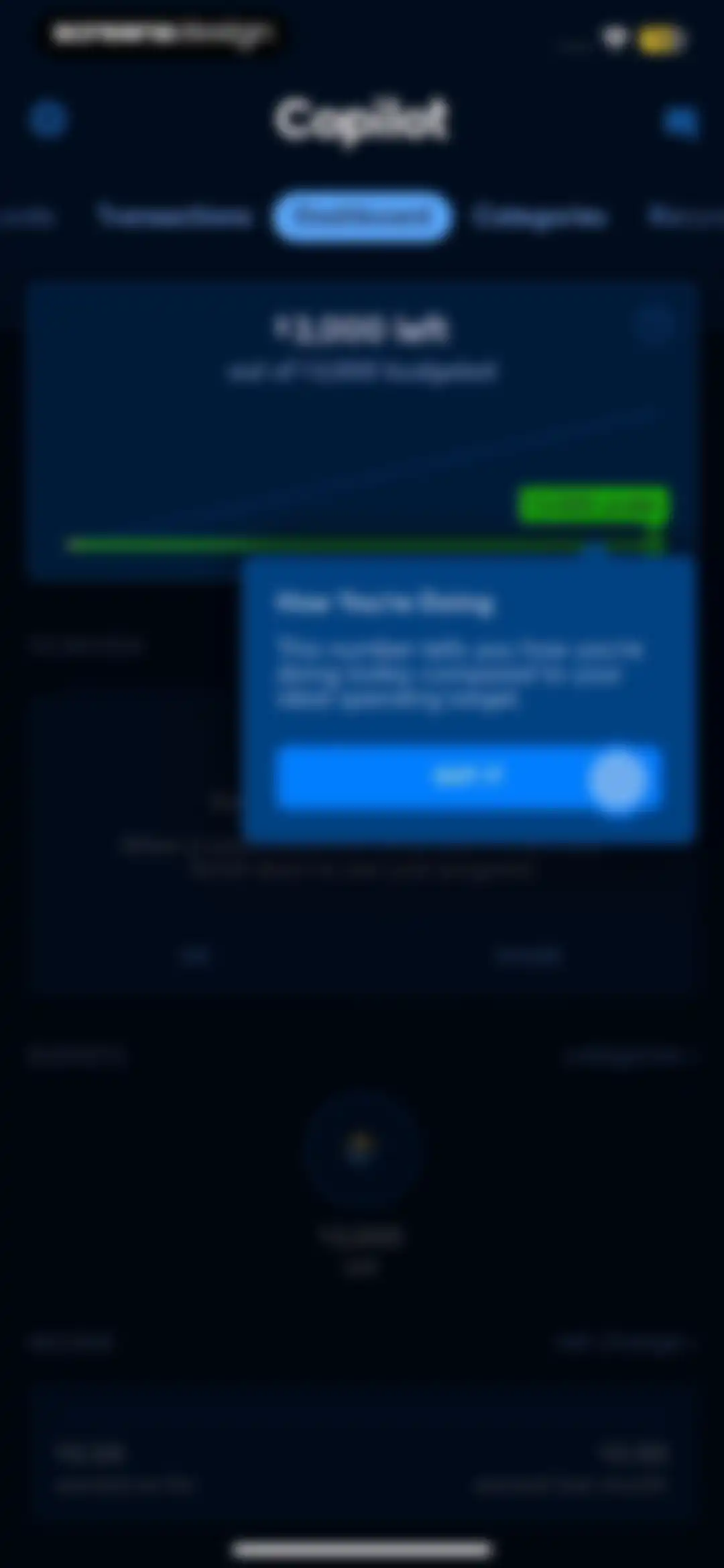 Copilot: Track & Budget Money screen 35