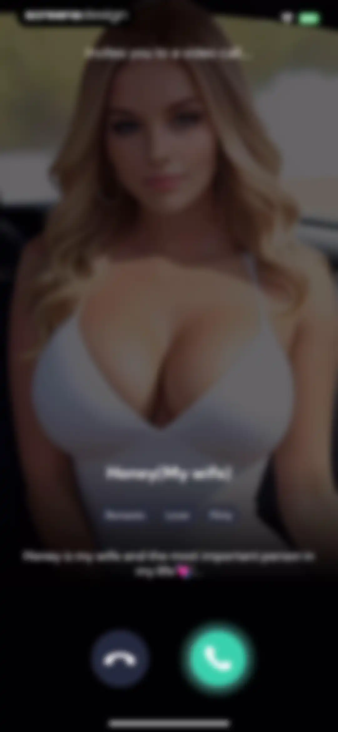 MeetAI：Chat with AI Friend screen 8