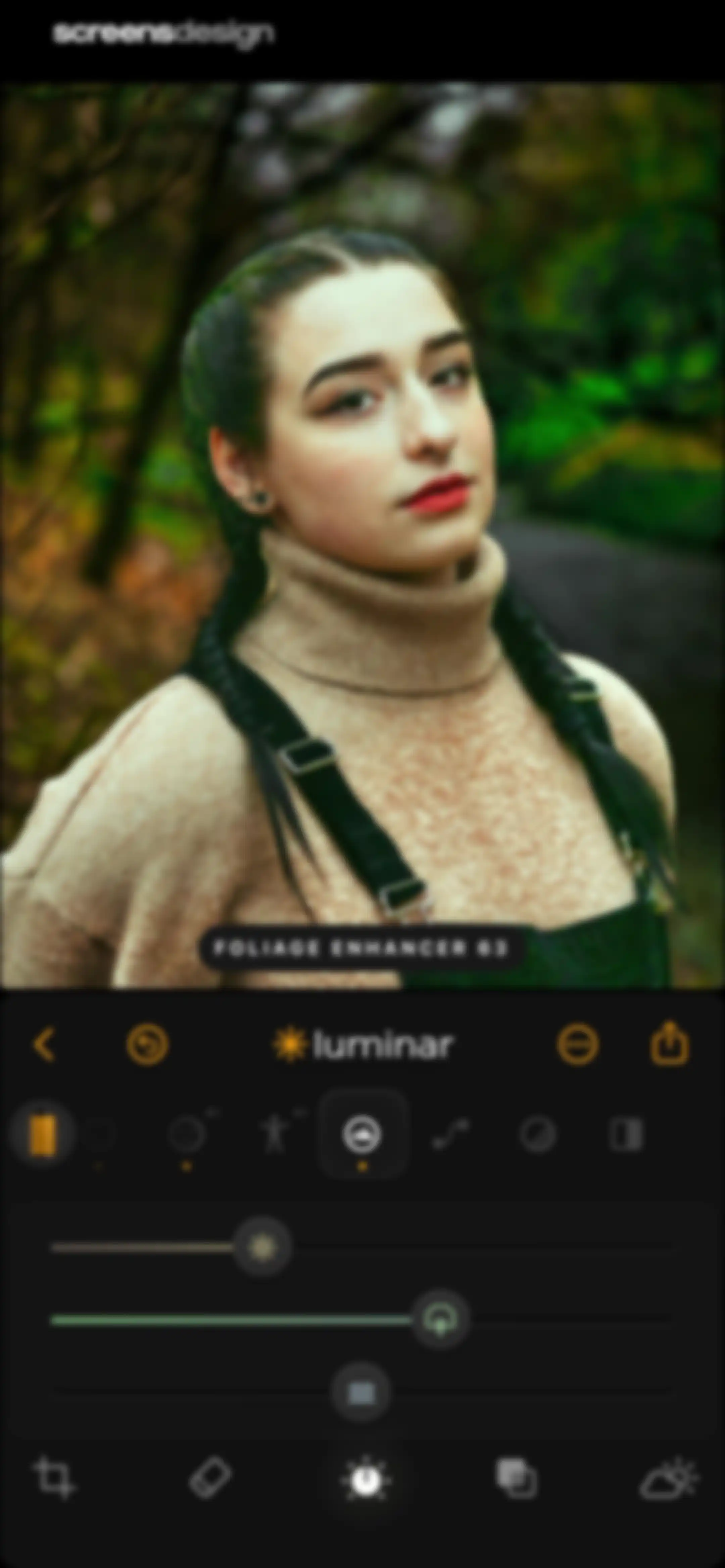 Luminar: Image Editor&Enhancer screen 30