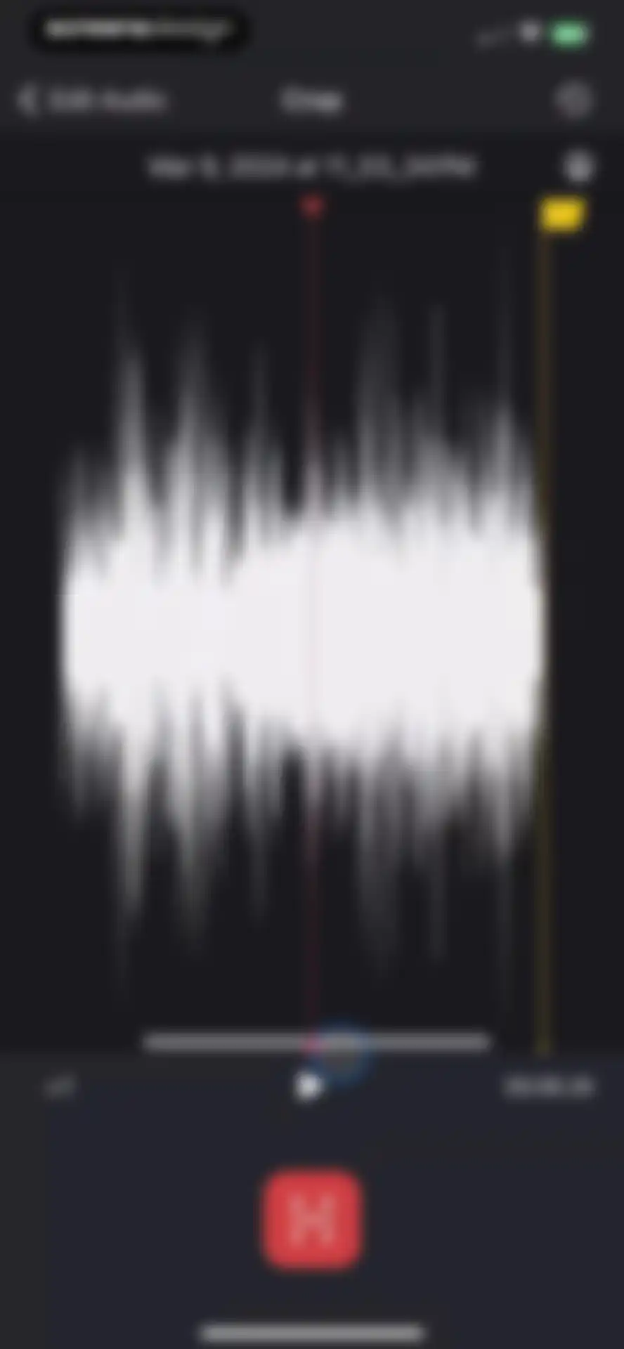 Voice Recorder & Notes Pro screen 12