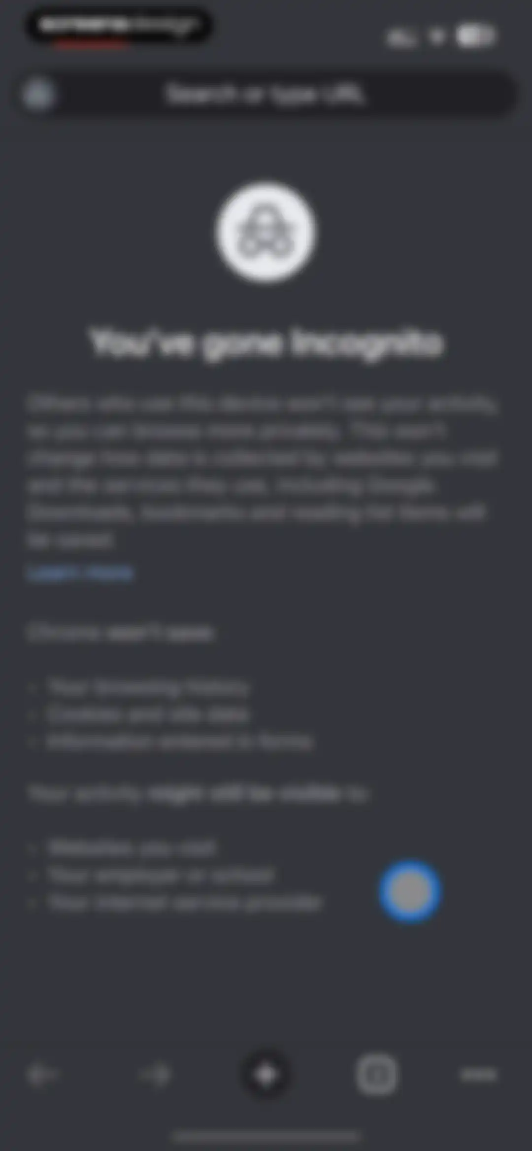 Google Chrome screen 105