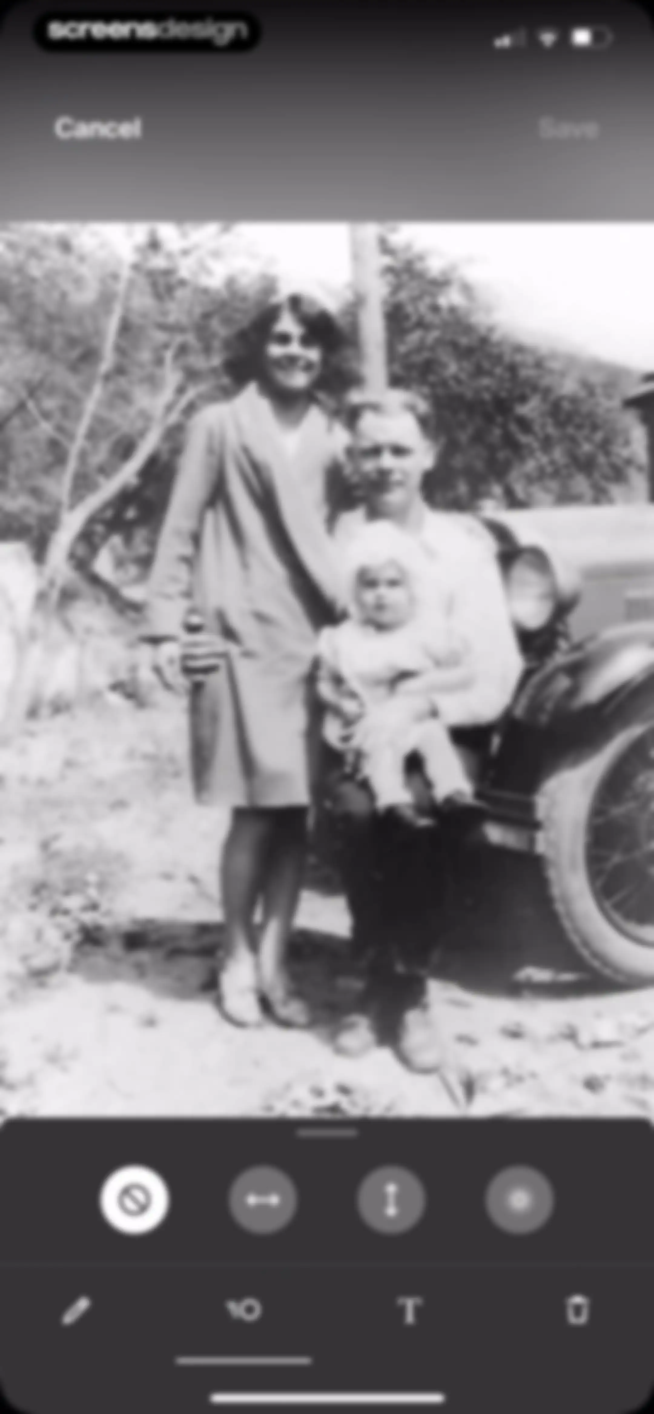 Ancestry: Family History & DNA screen 237