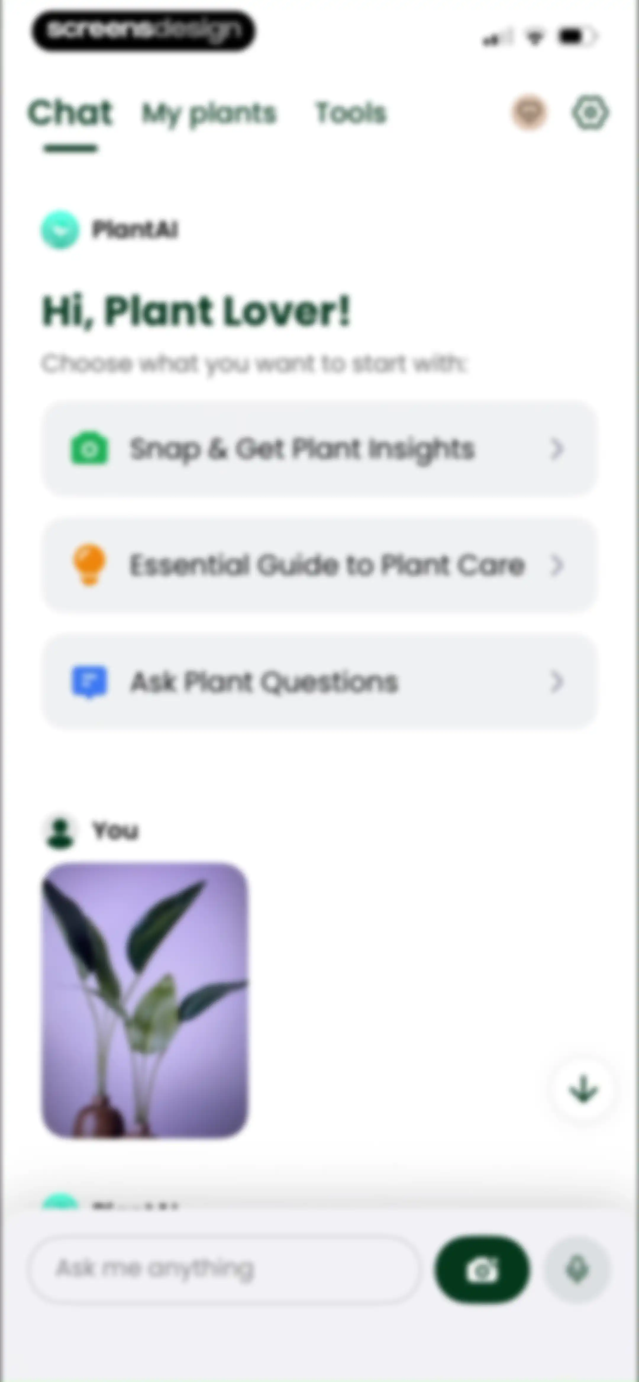 PlantAI: Identifier & Diagnose screen 46