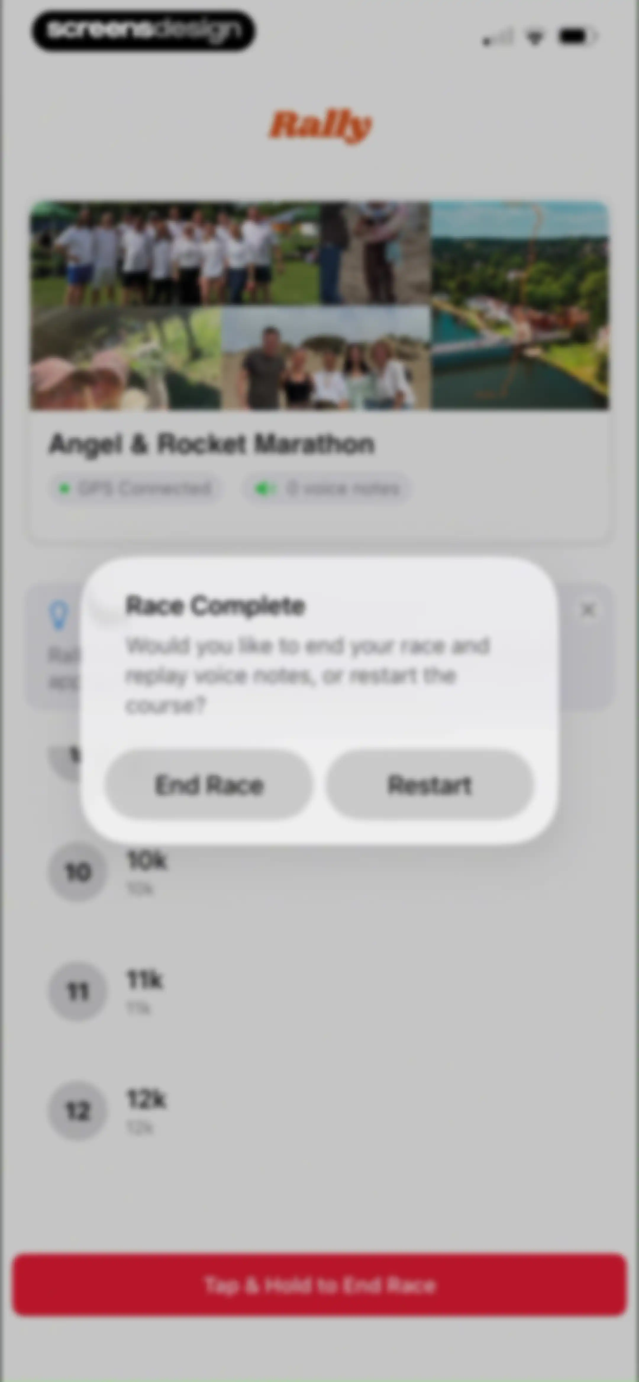 Rally: Voice Notes on Race Day screen 34