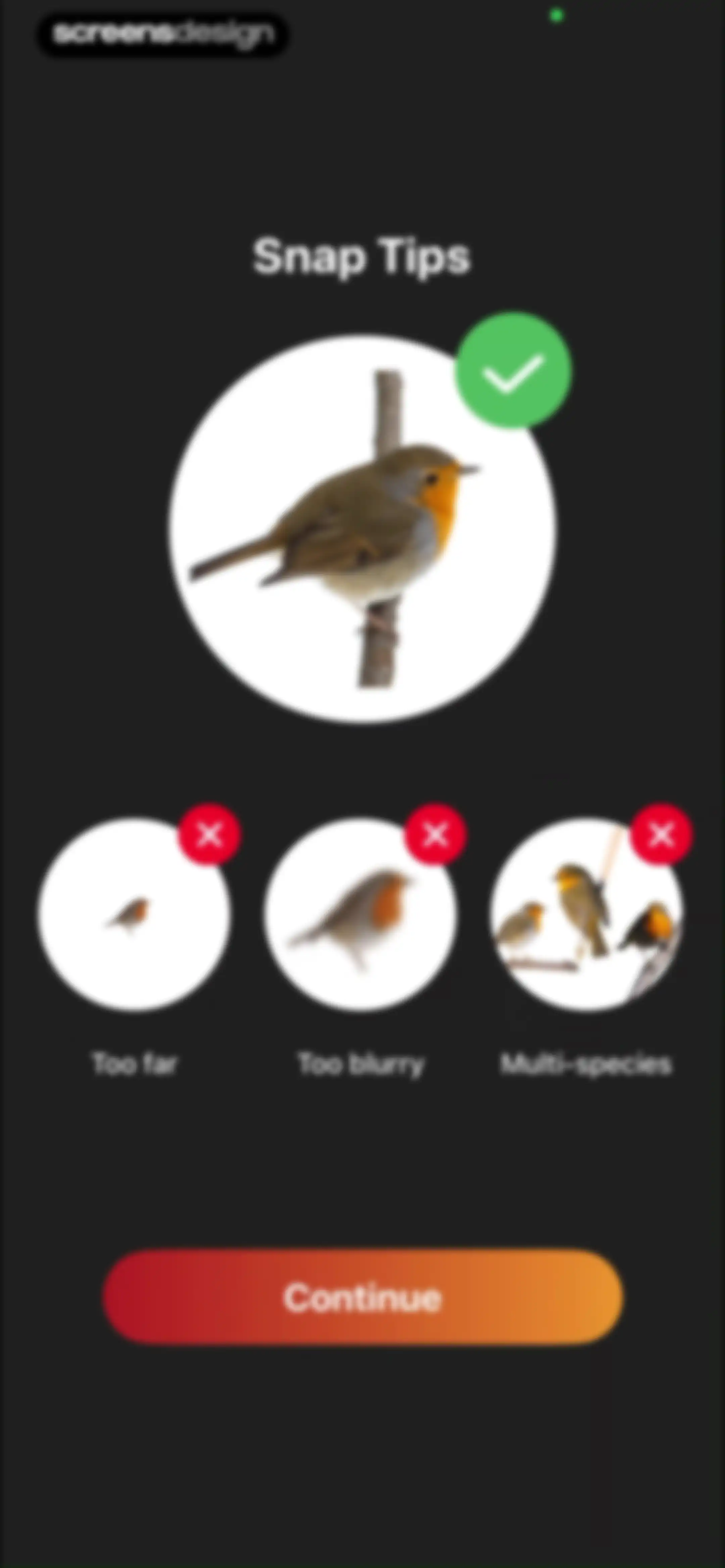 Picture Bird: Bird identifier screen 27