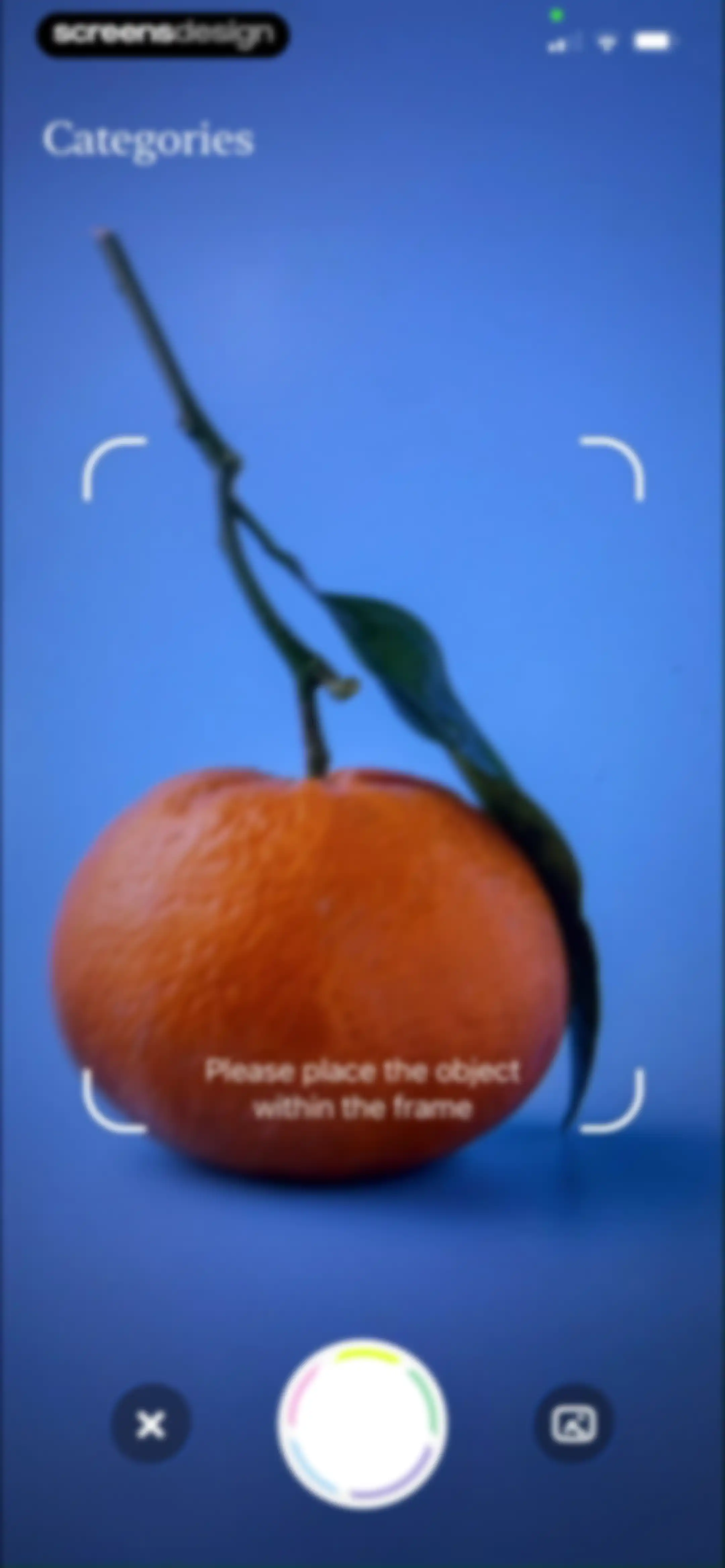CapWords: AI Language Tutor screen 34