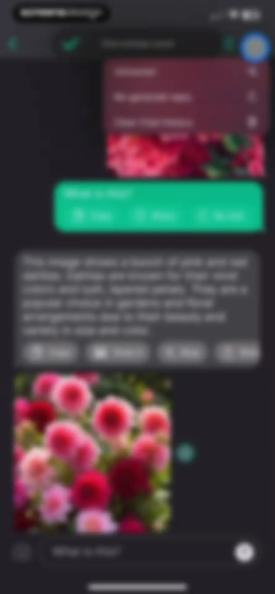 AI+ Chat & Al Video Generator screen 19