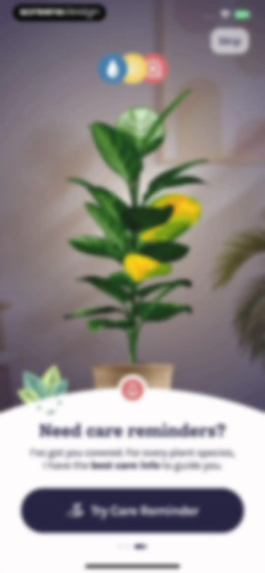 Plant Identifier, Care: Planty screen 10