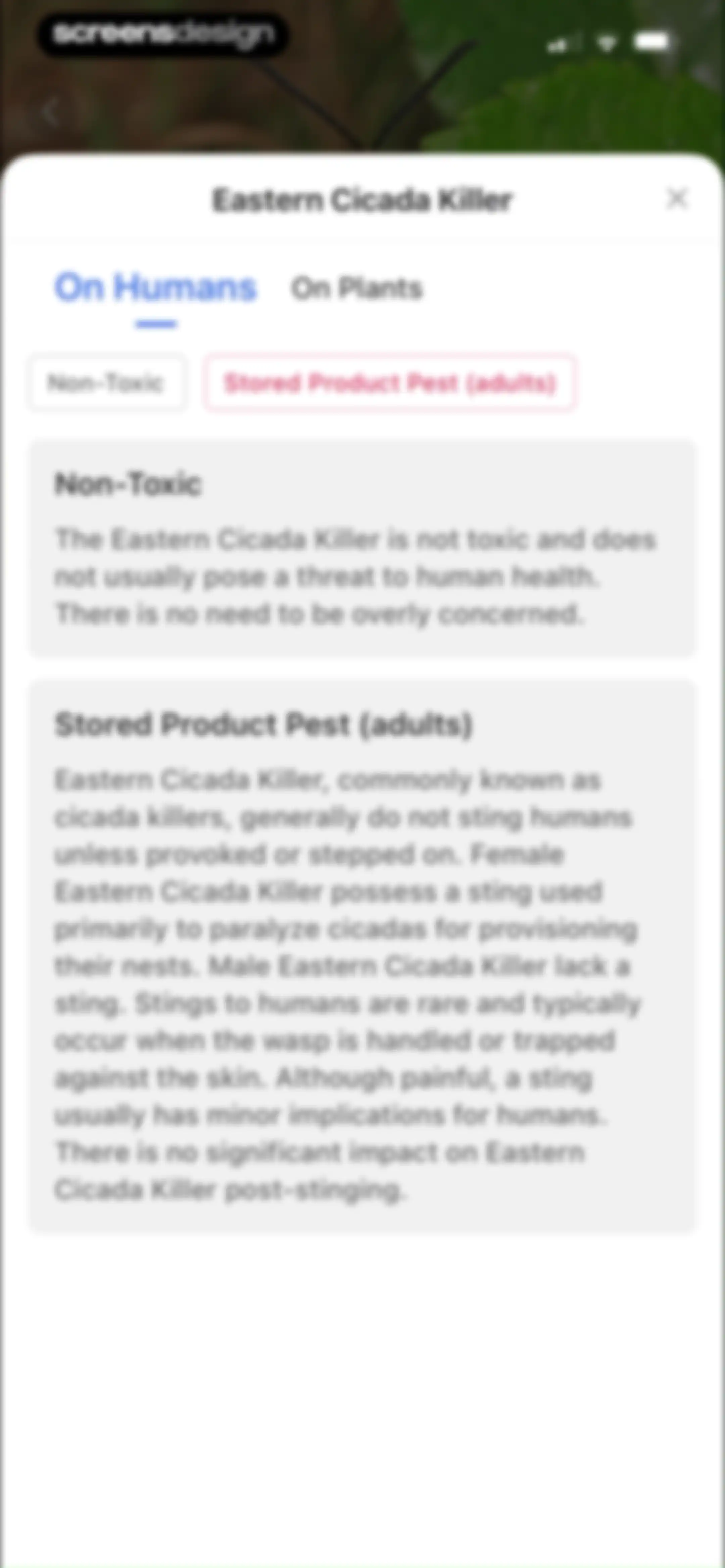 Picture Insect: Bug Identifier screen 24