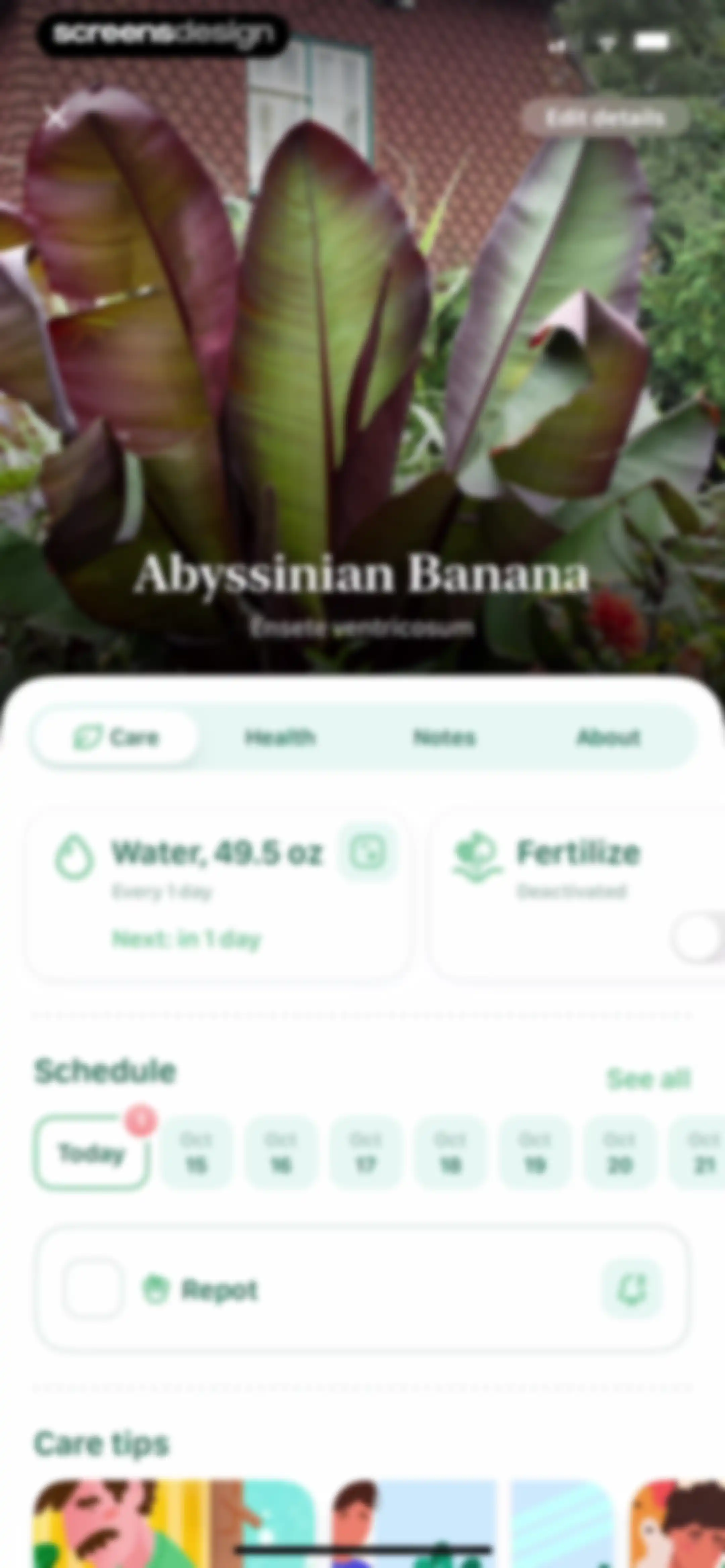 Blossom - Plant Care Guide screen 53