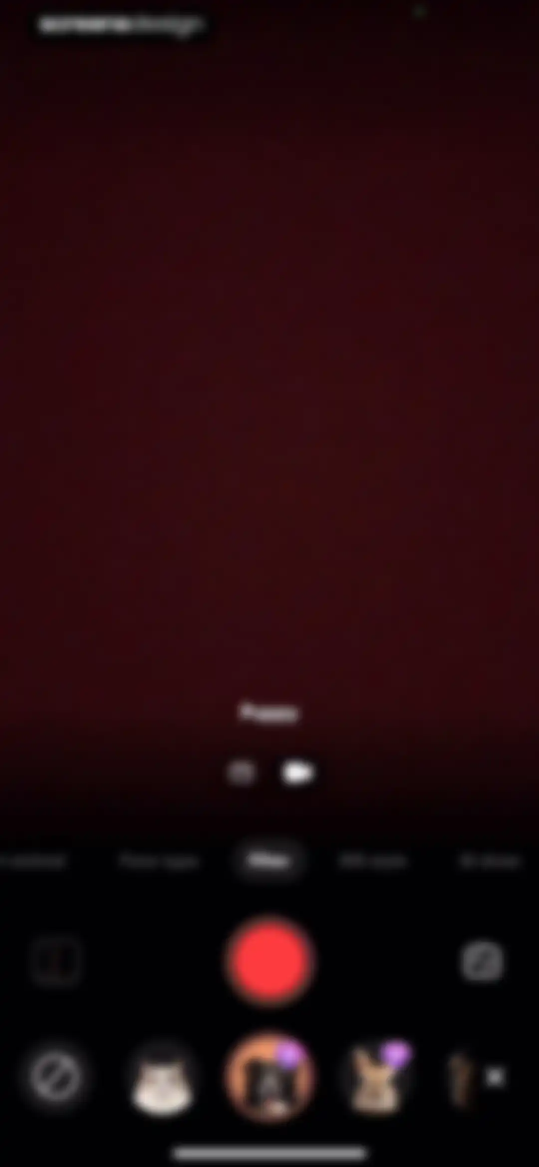 AnimalFace - looksmax ai score screen 48