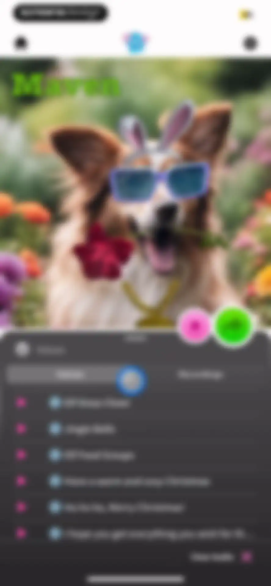 My Talking Pet screen 19