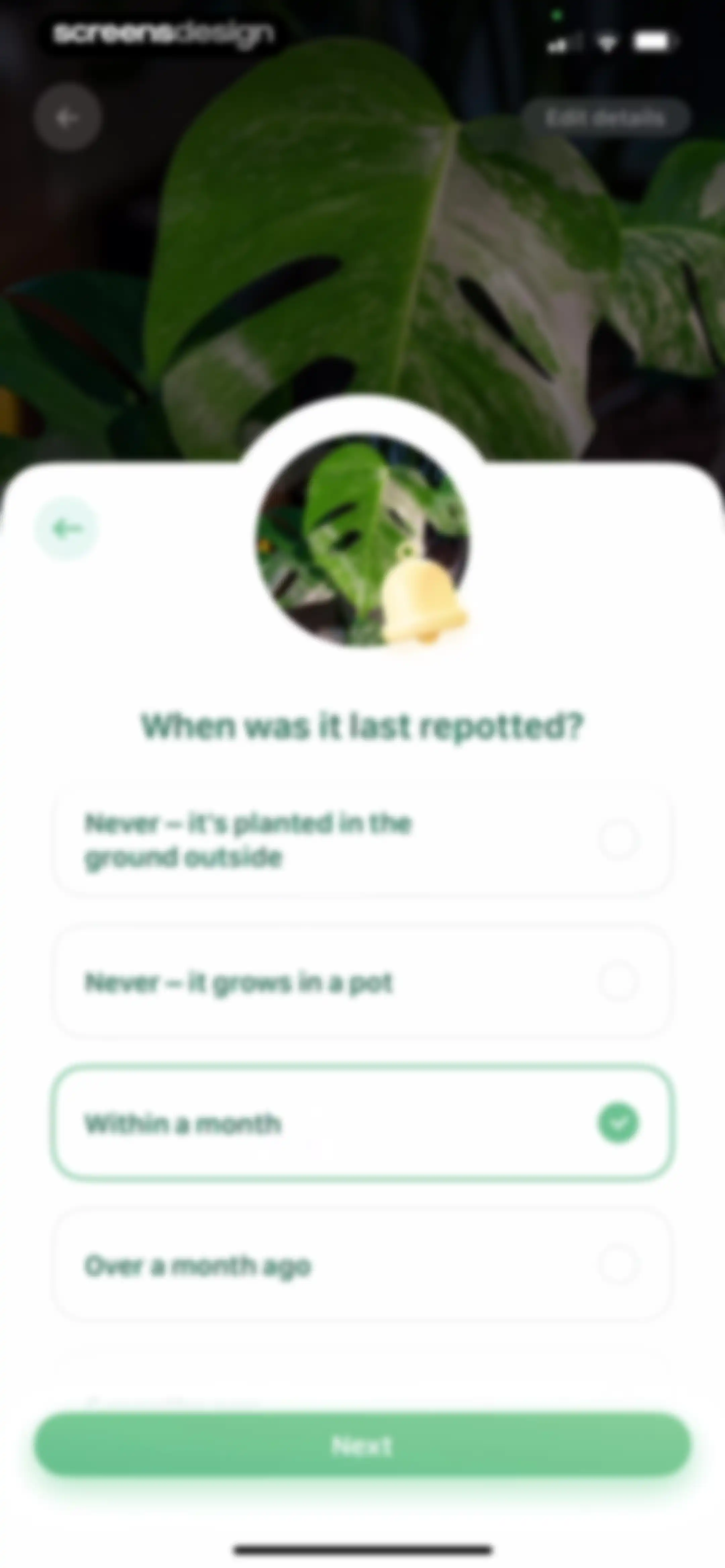 Blossom - Plant Care Guide screen 124