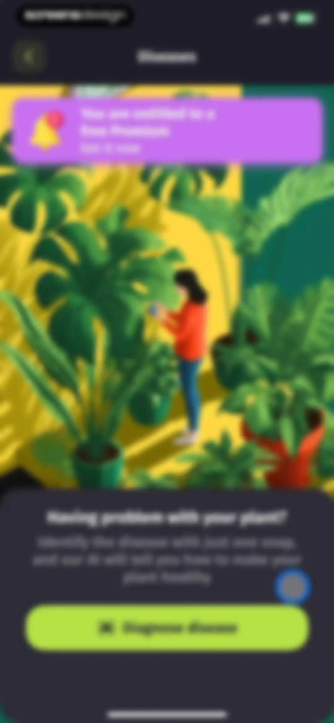 Plantion - Plant Identifier screen 36