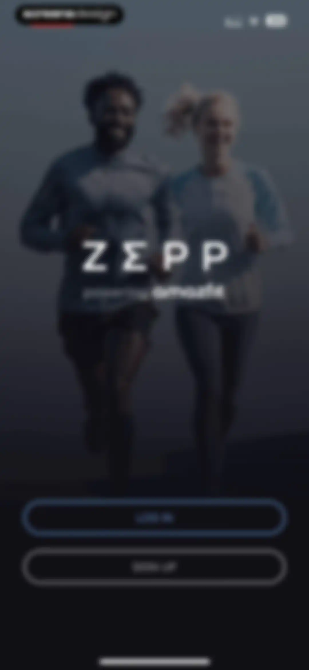 Zepp screen 2