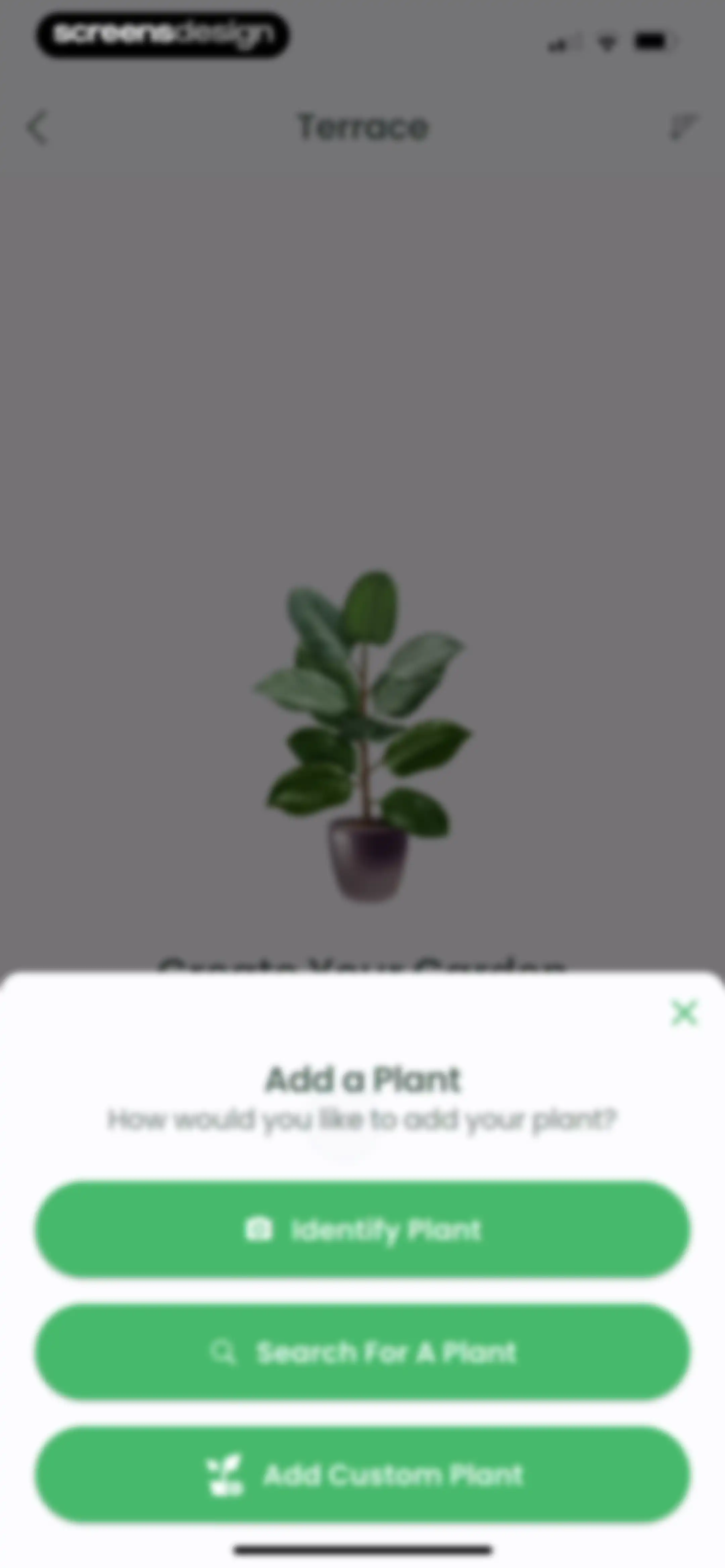 Plant Identifier: Plantiary screen 125