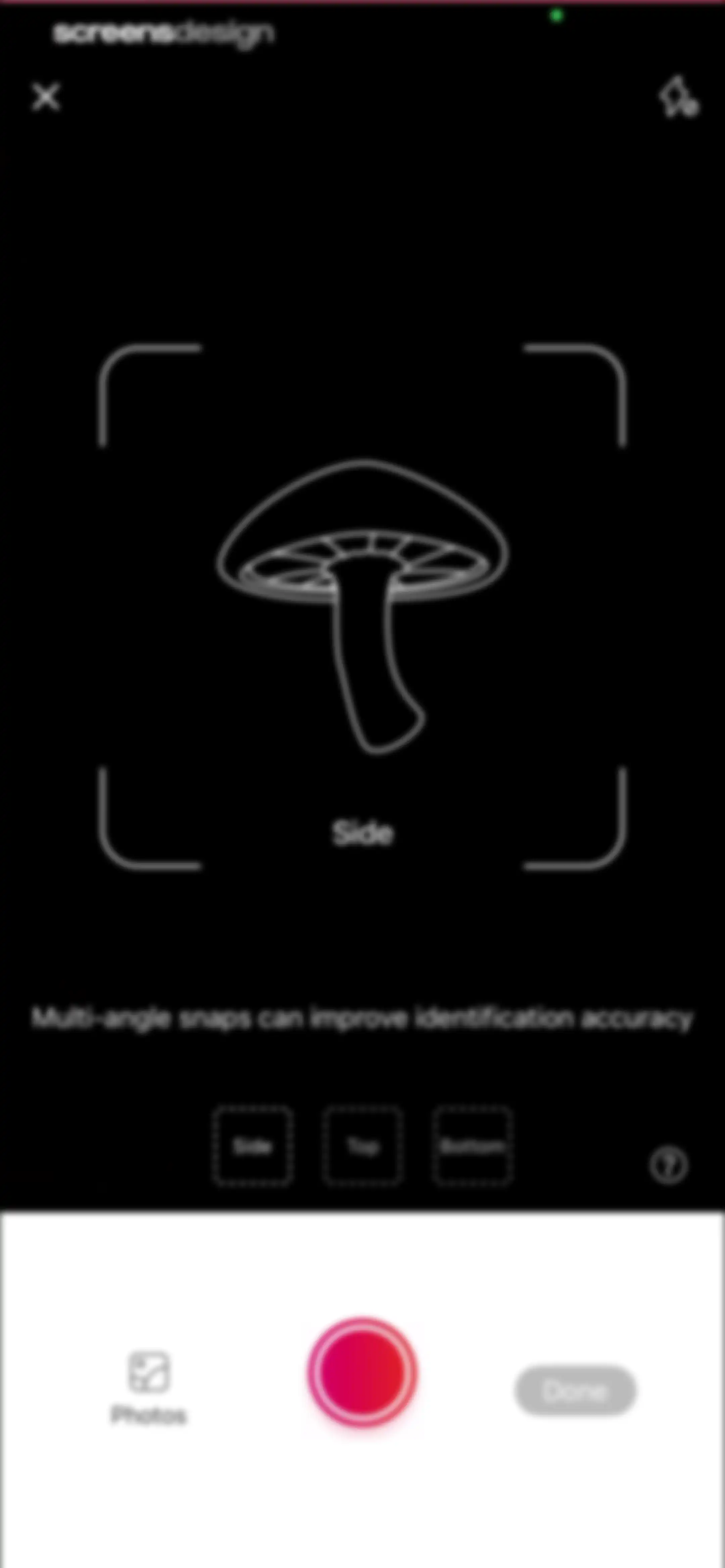 Picture Mushroom: Identifier screen 91