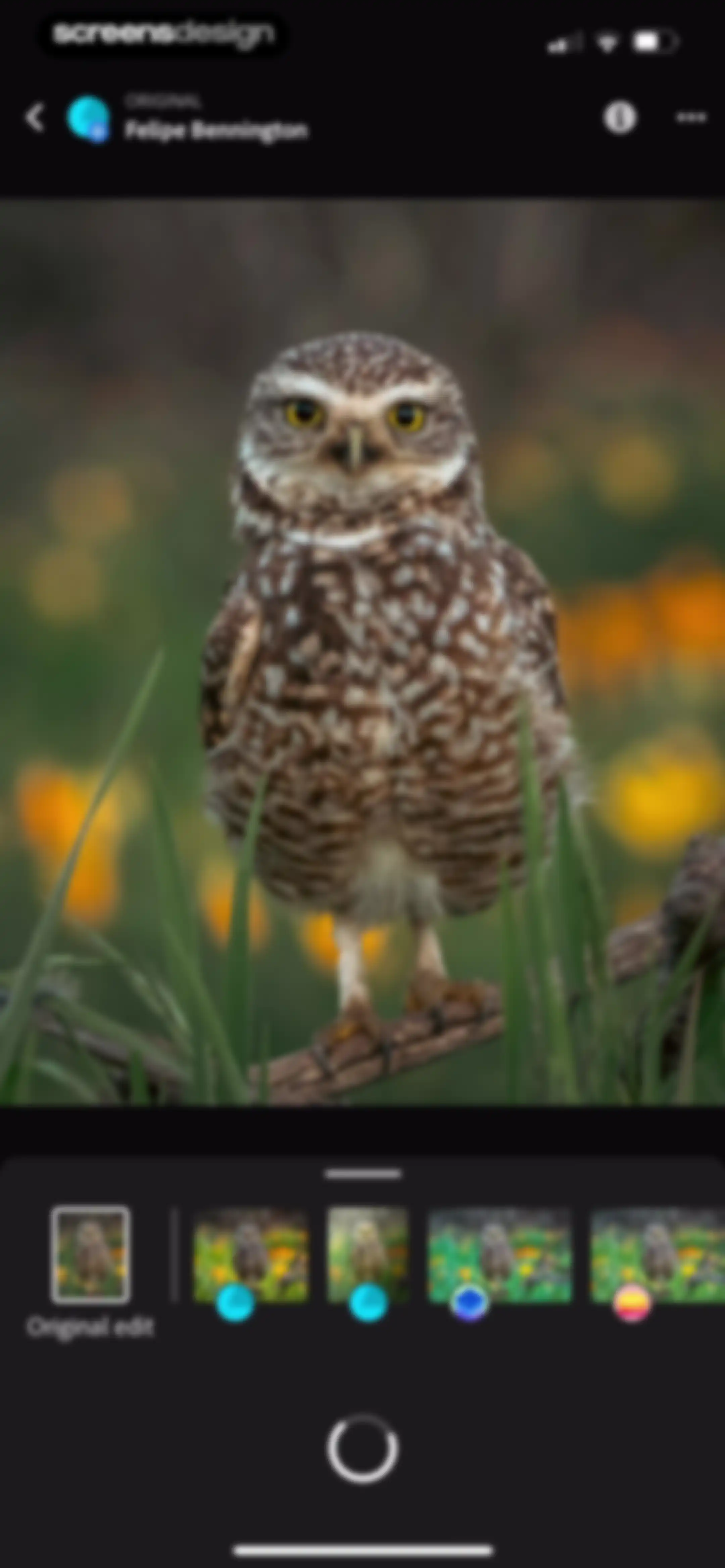 Lightroom: AI Photo Editor screen 160