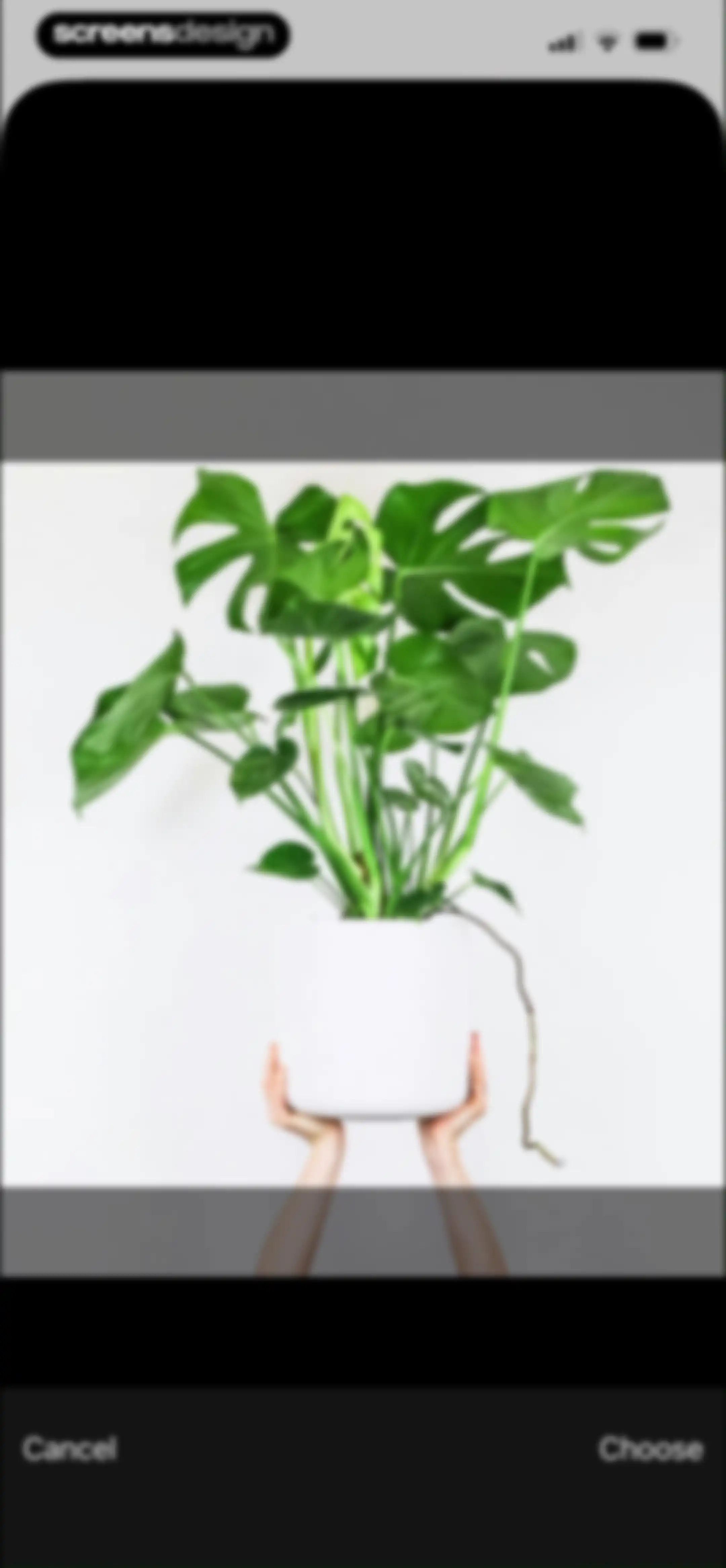 Free Plant Identifier screen 52