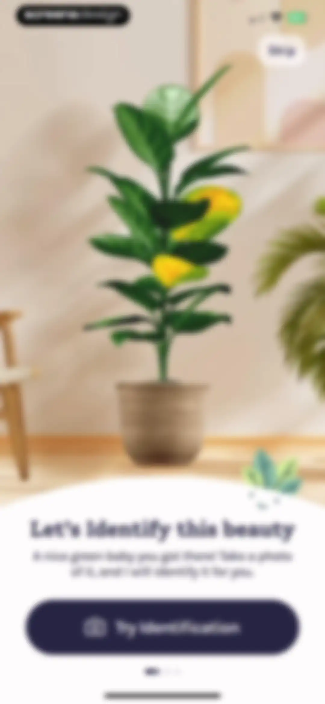Plant Identifier, Care: Planty screen 6