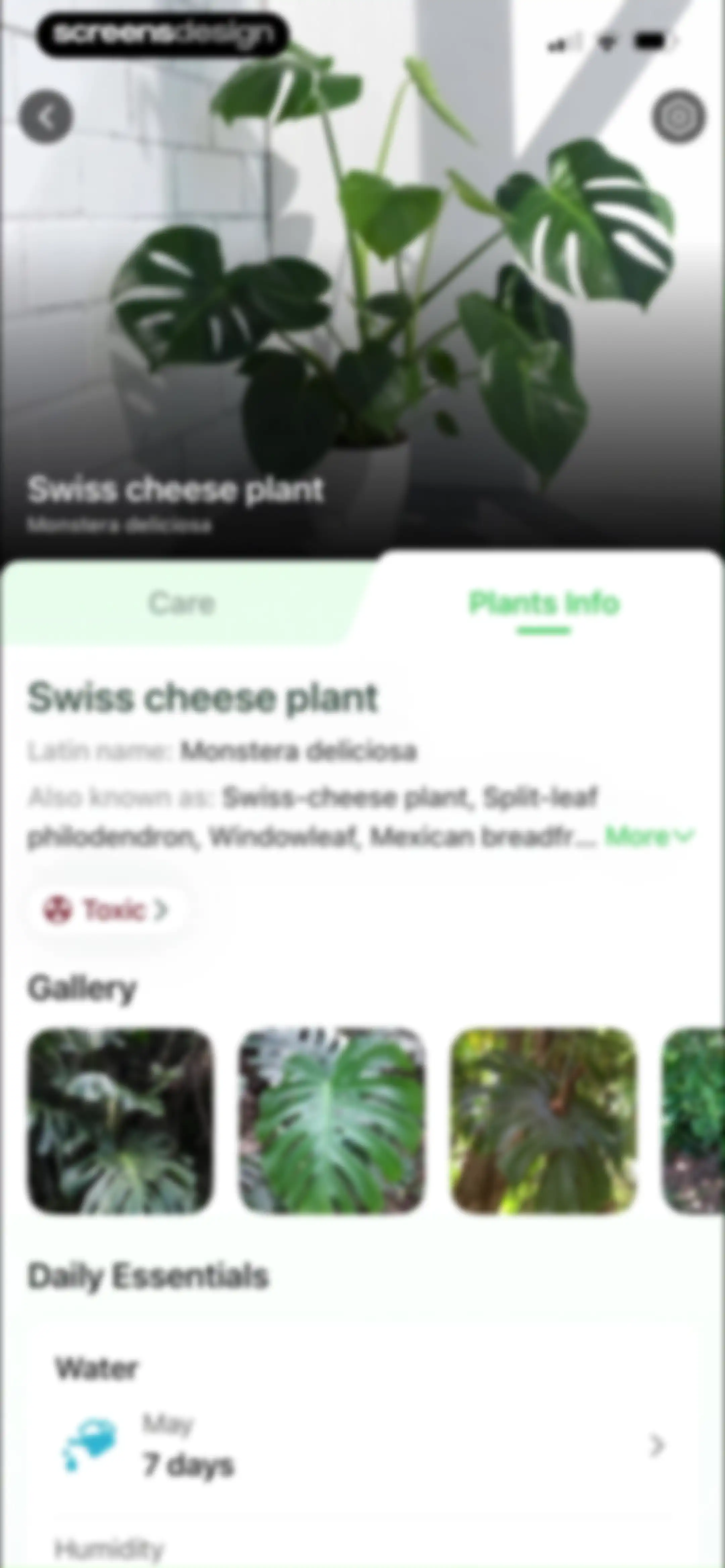 Plant Identifier & Plant Care. screen 67