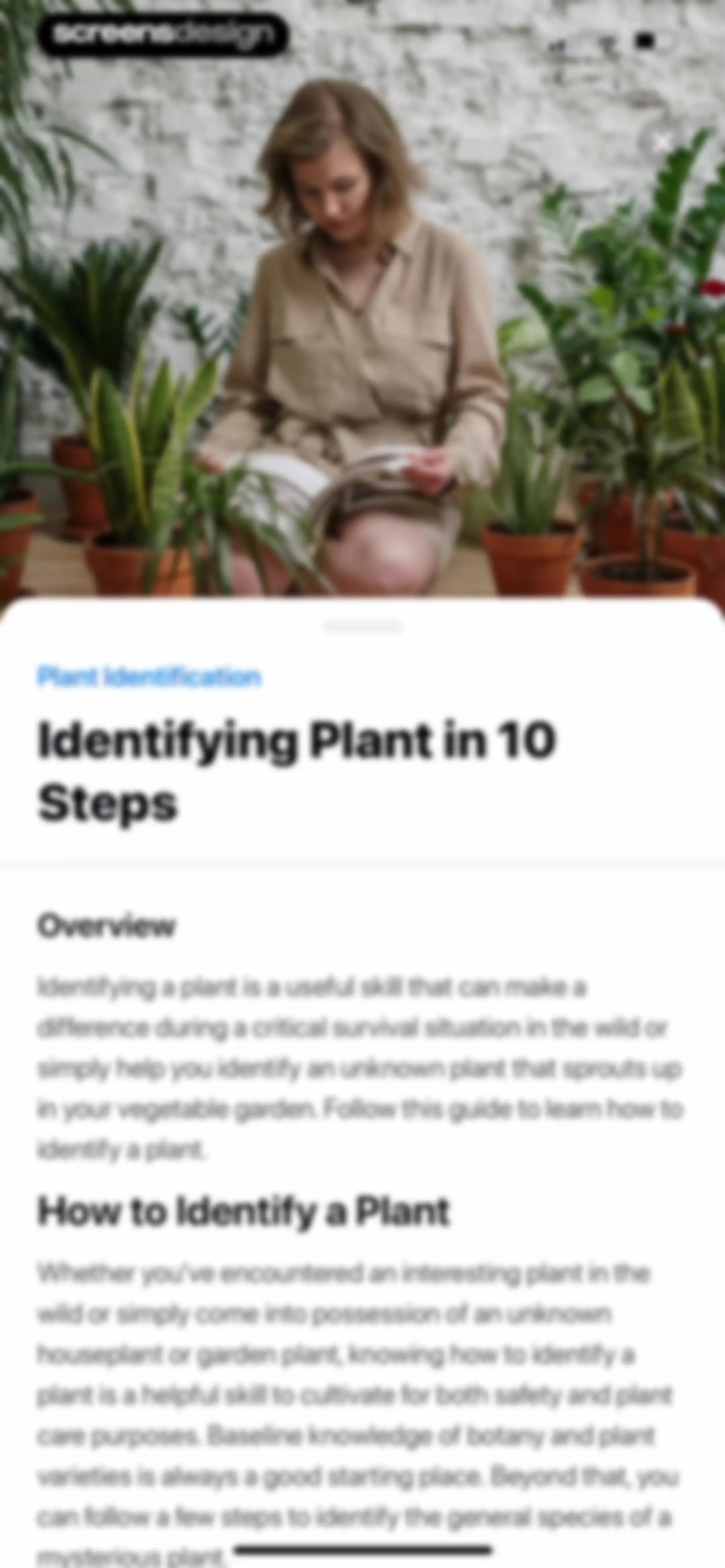 Plant App: Plant Identifier screen 57
