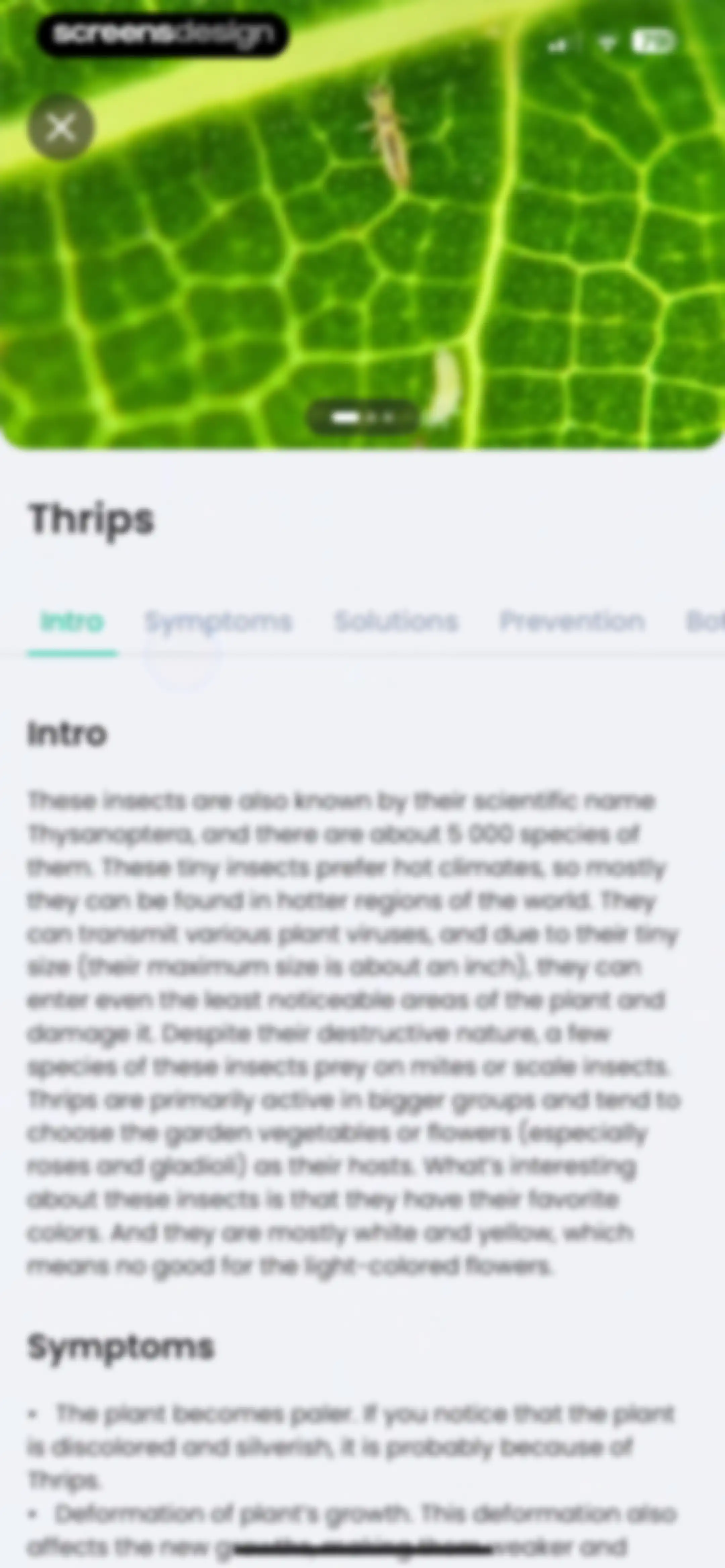 PlantIn: Plant Identifier・Care screen 168