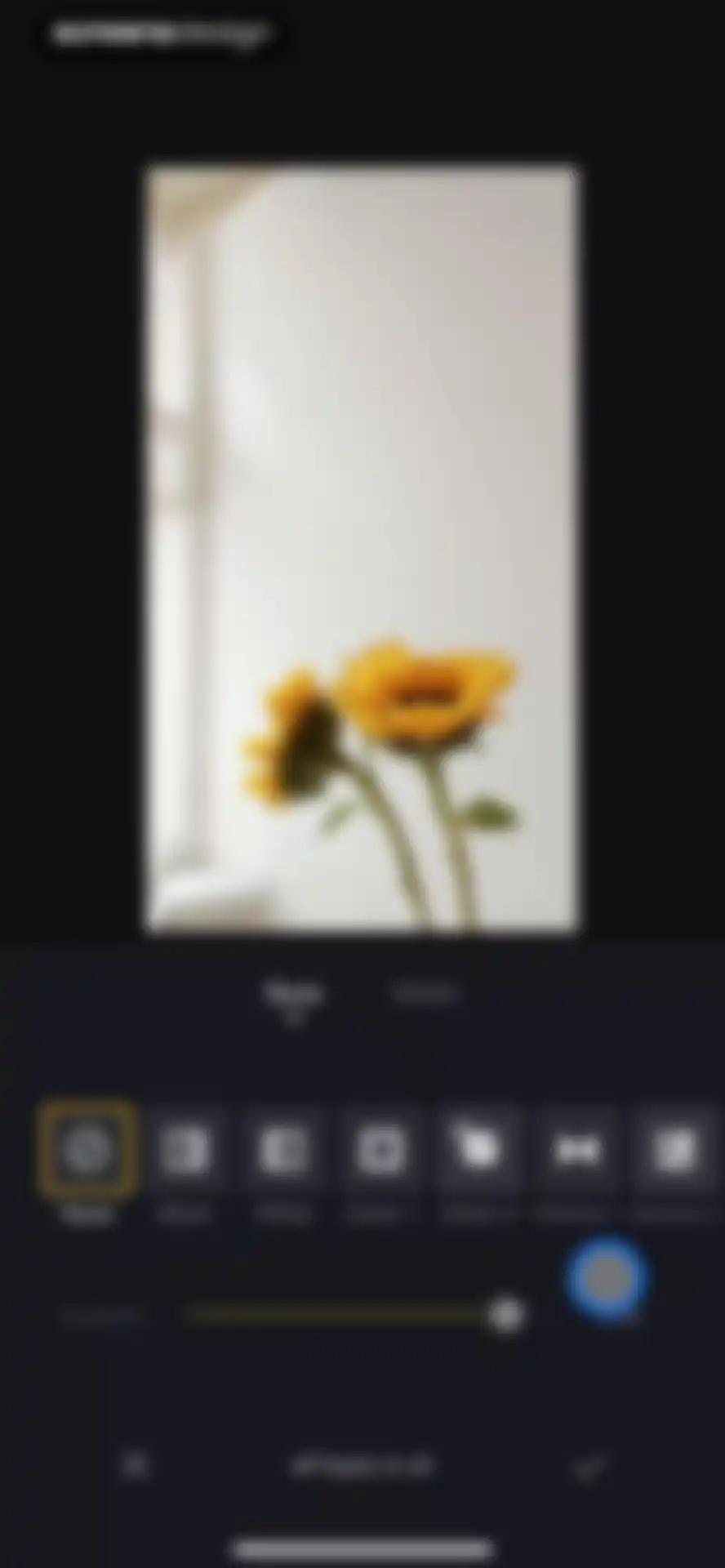 VN: Photo & Video Editor screen 34