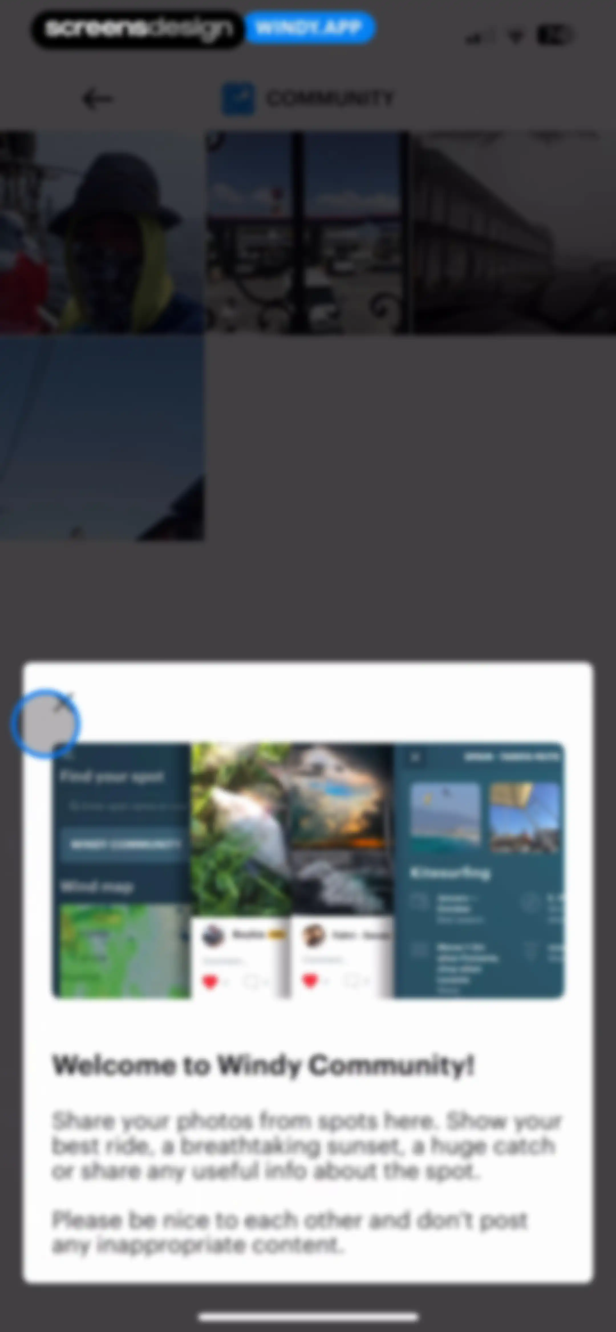 Windy.app — Wind, Tides, Radar screen 28