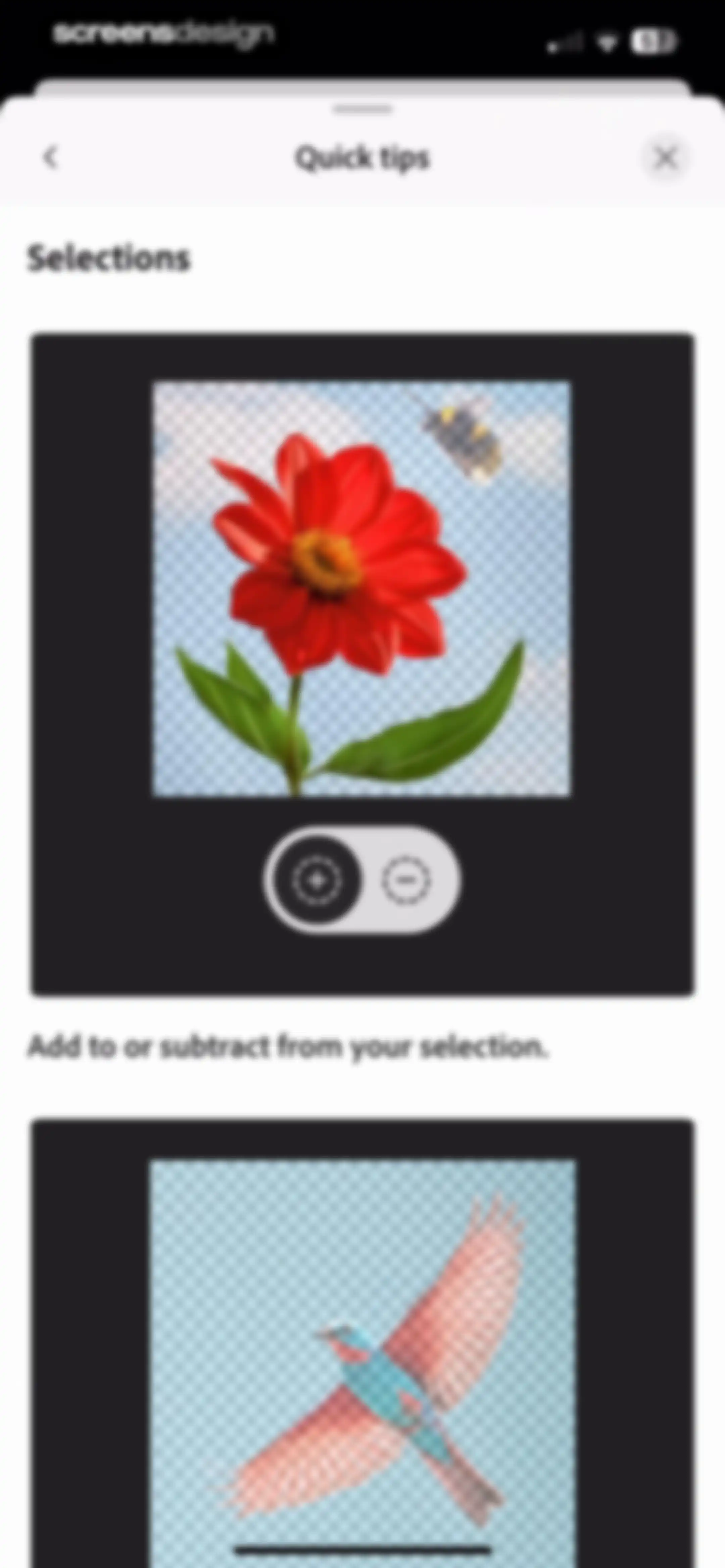 Adobe Photoshop: Photo Editor screen 97