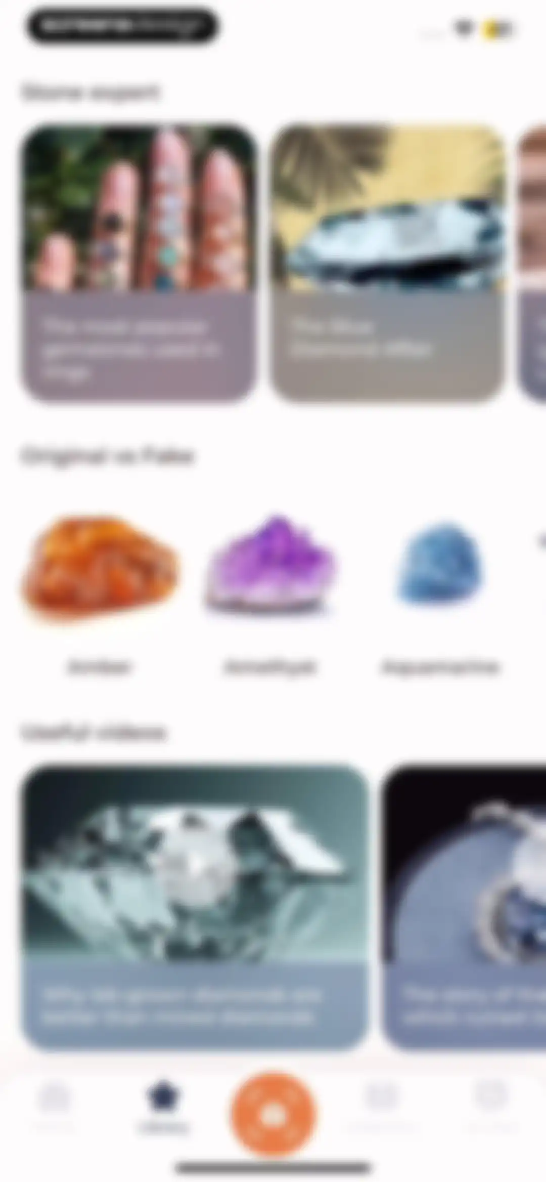 Stone Identifier: Rock Scanner screen 82