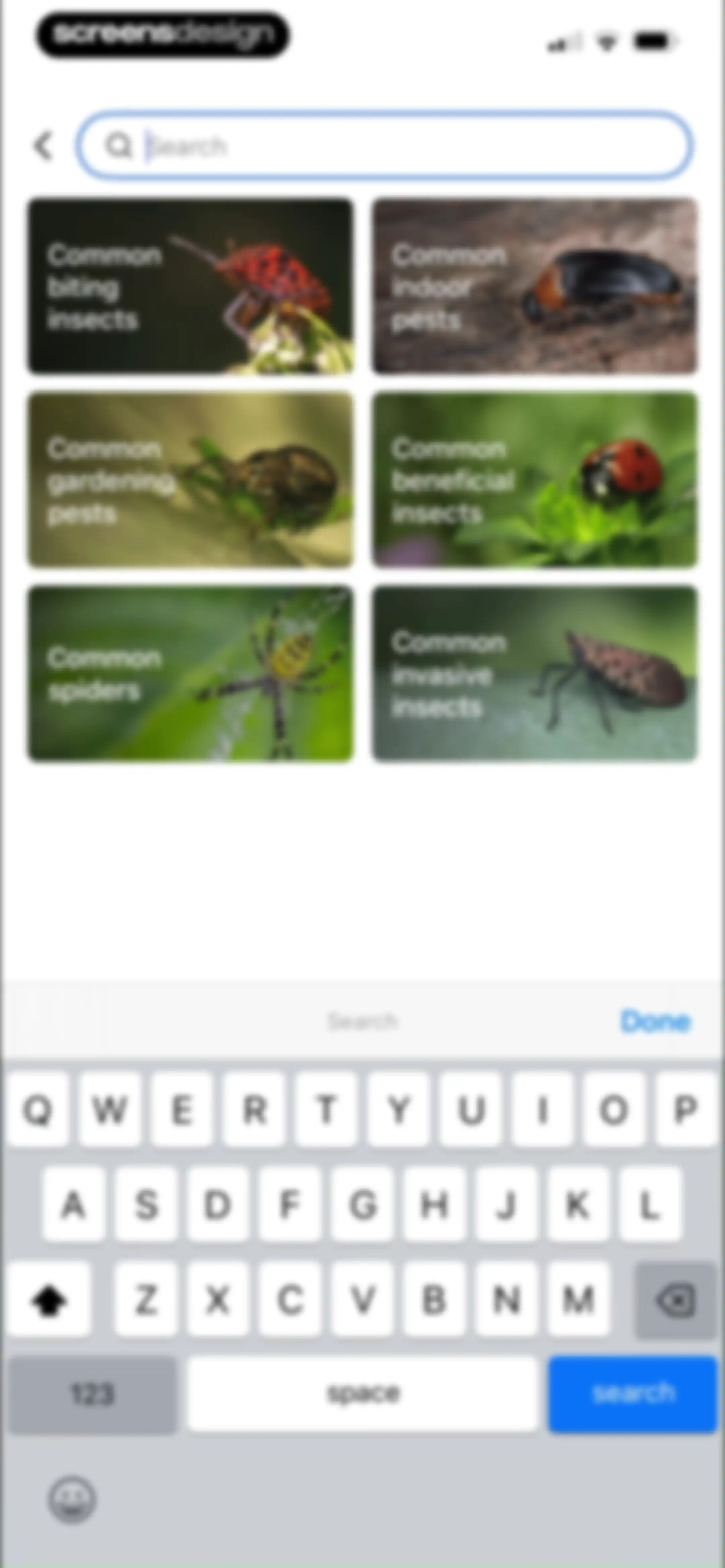 Picture Insect: Bug Identifier screen 21