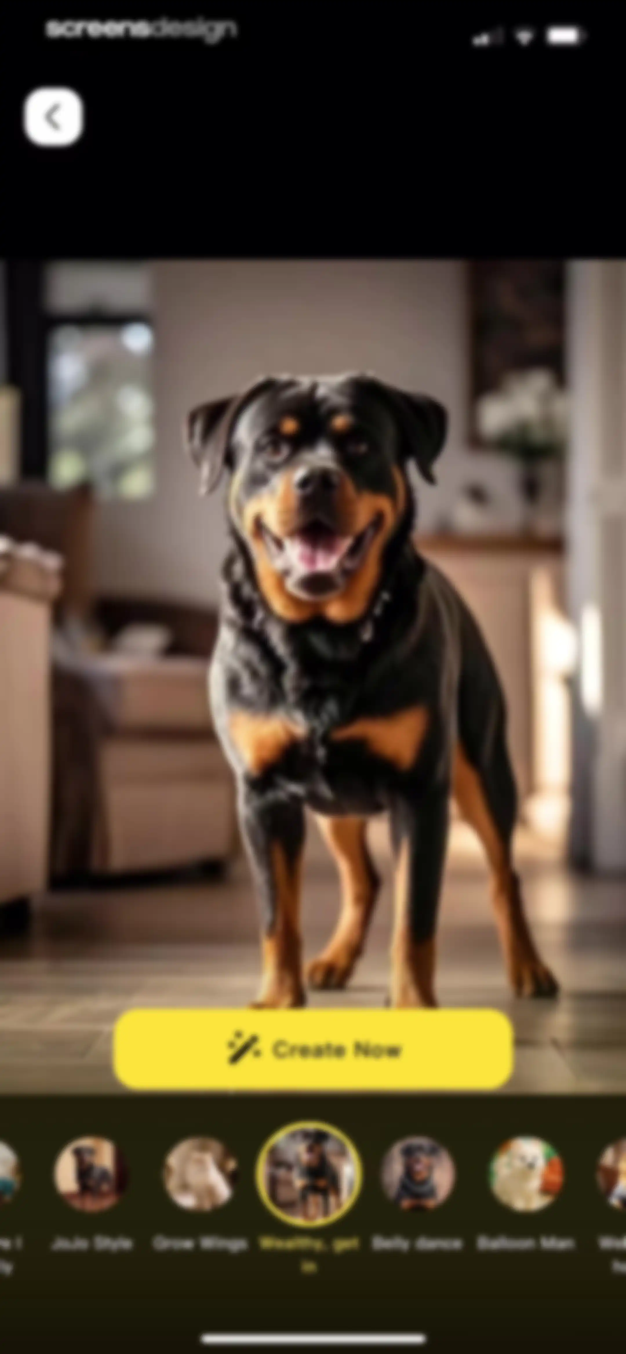 PetFun-Pet Talk & Camera screen 45