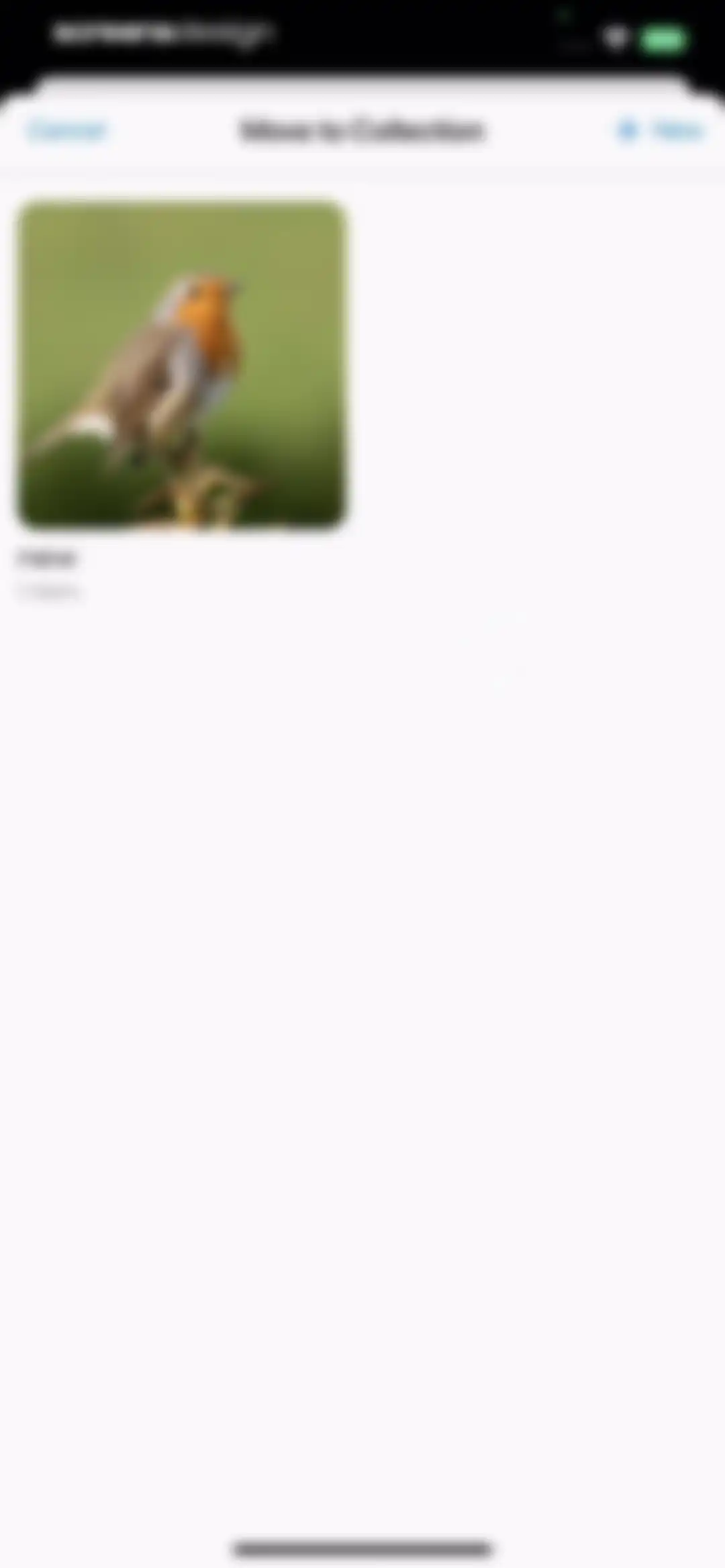 Bird Sounds Identifier Call ID screen 44