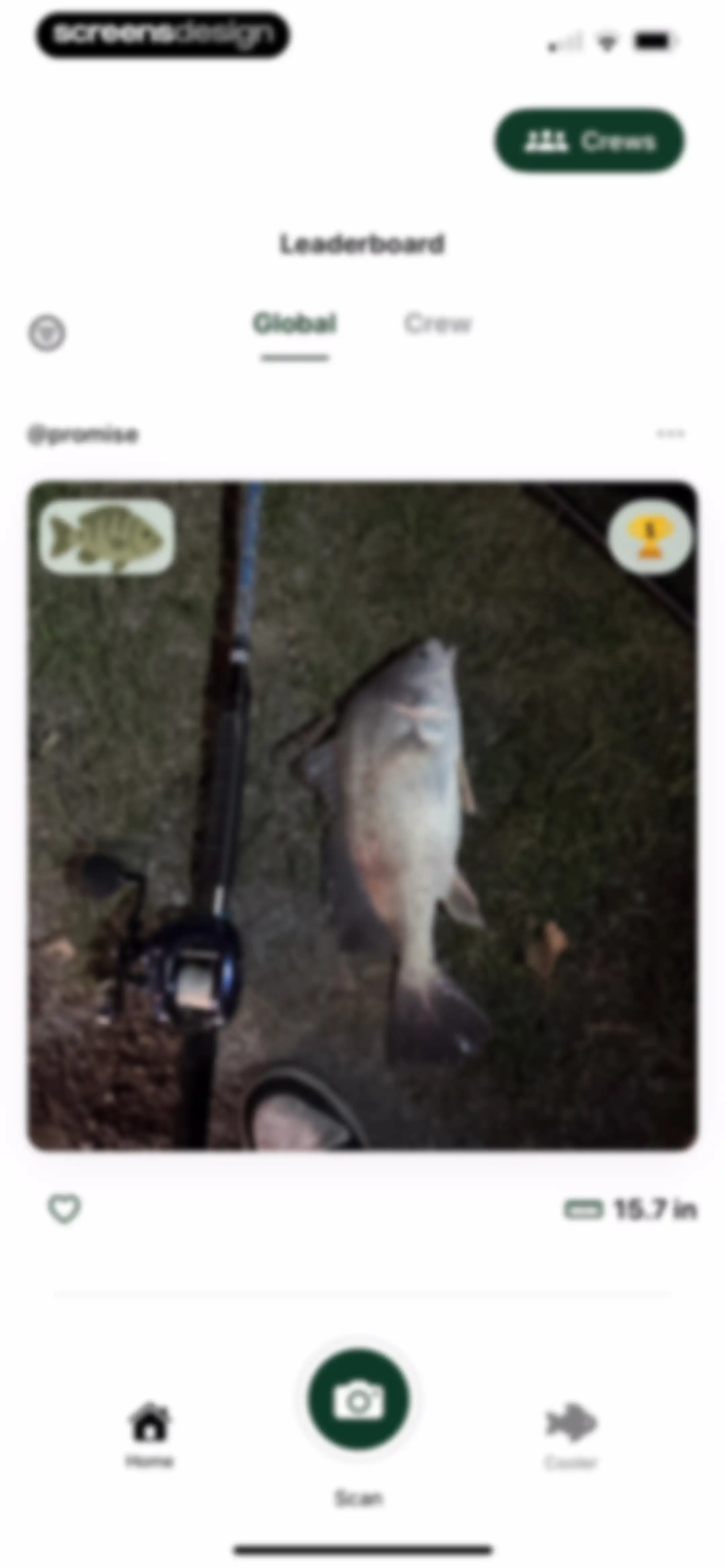 Catchr: Fish Identifier screen 42