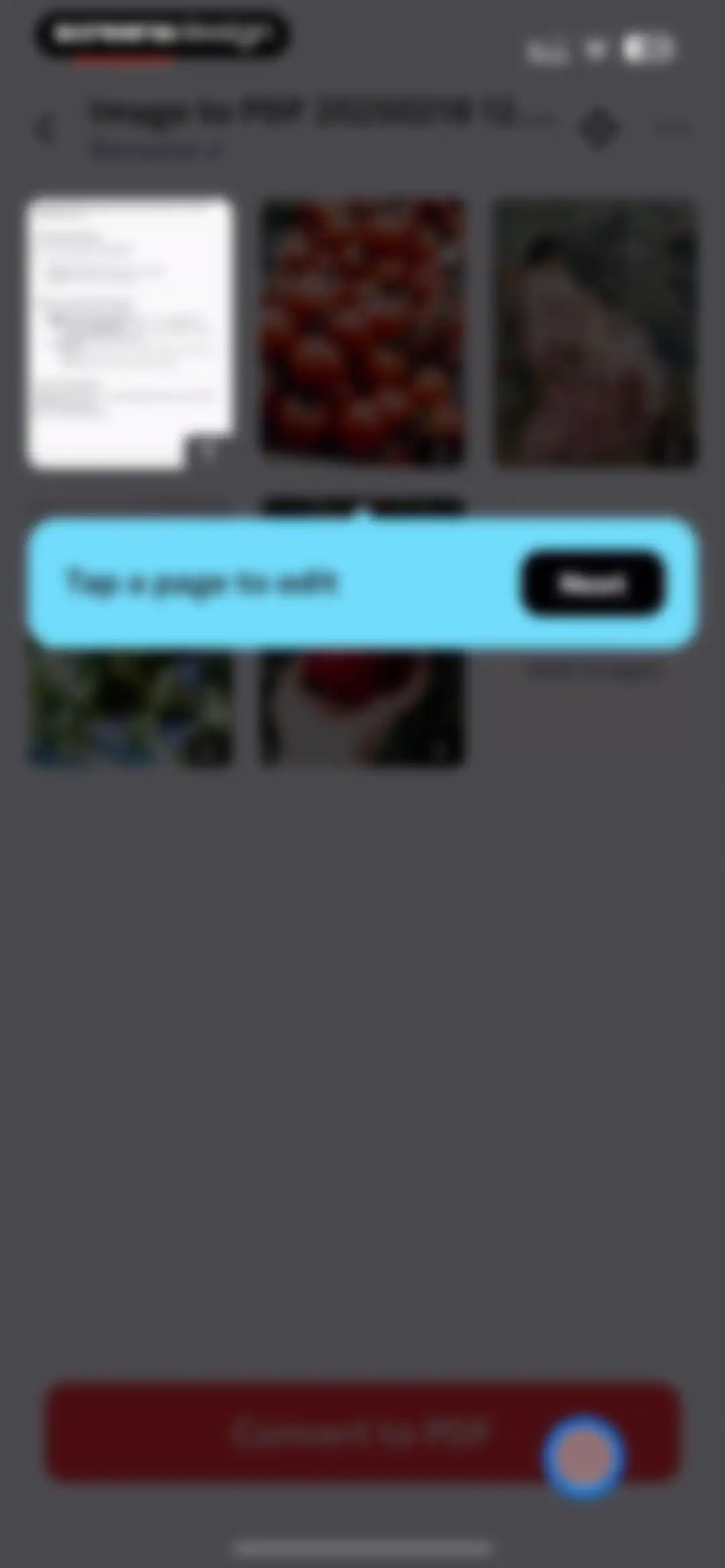 Image to PDF Converter · Edit screen 19