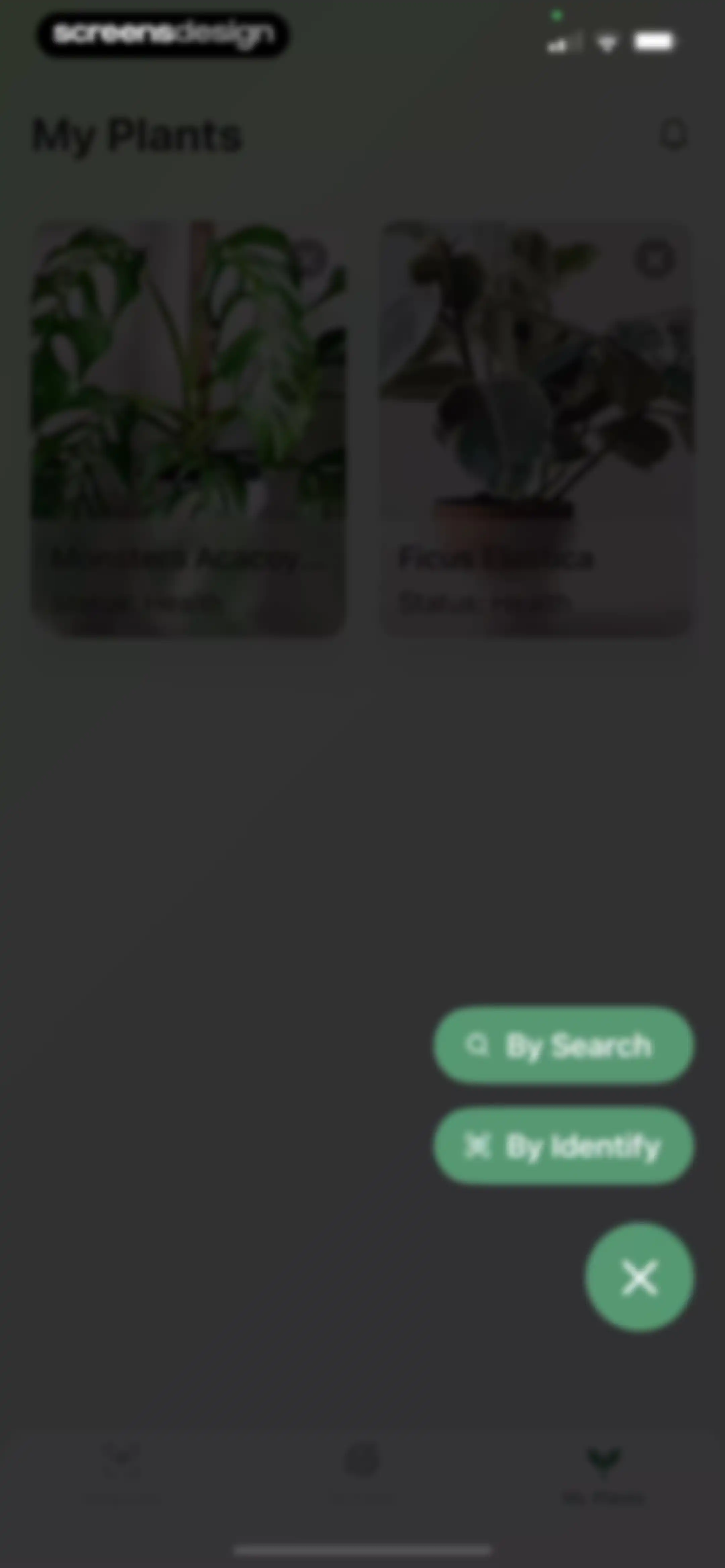 Verde Finder : identify plants screen 60