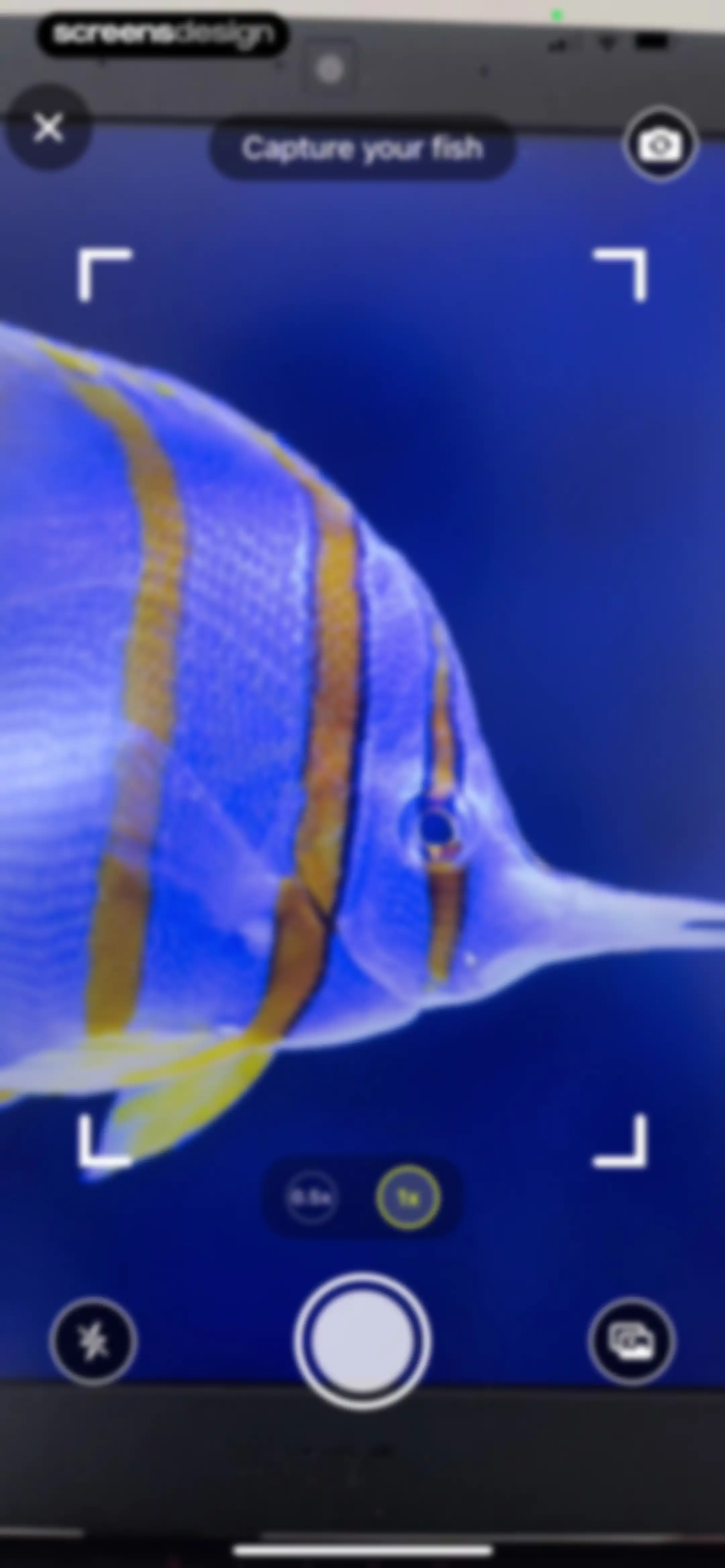 Catchr: Fish Identifier screen 65