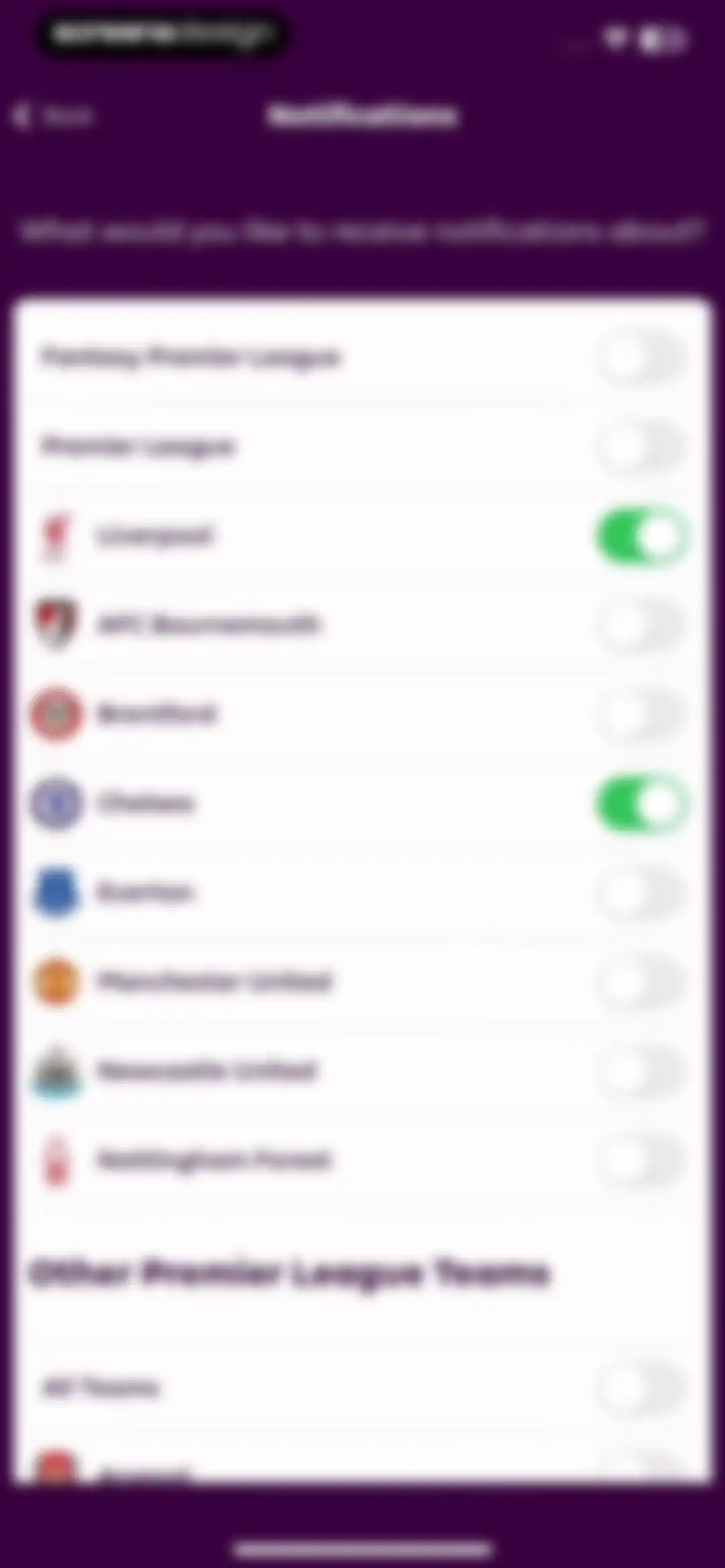 Premier League - Scores, News screen 13