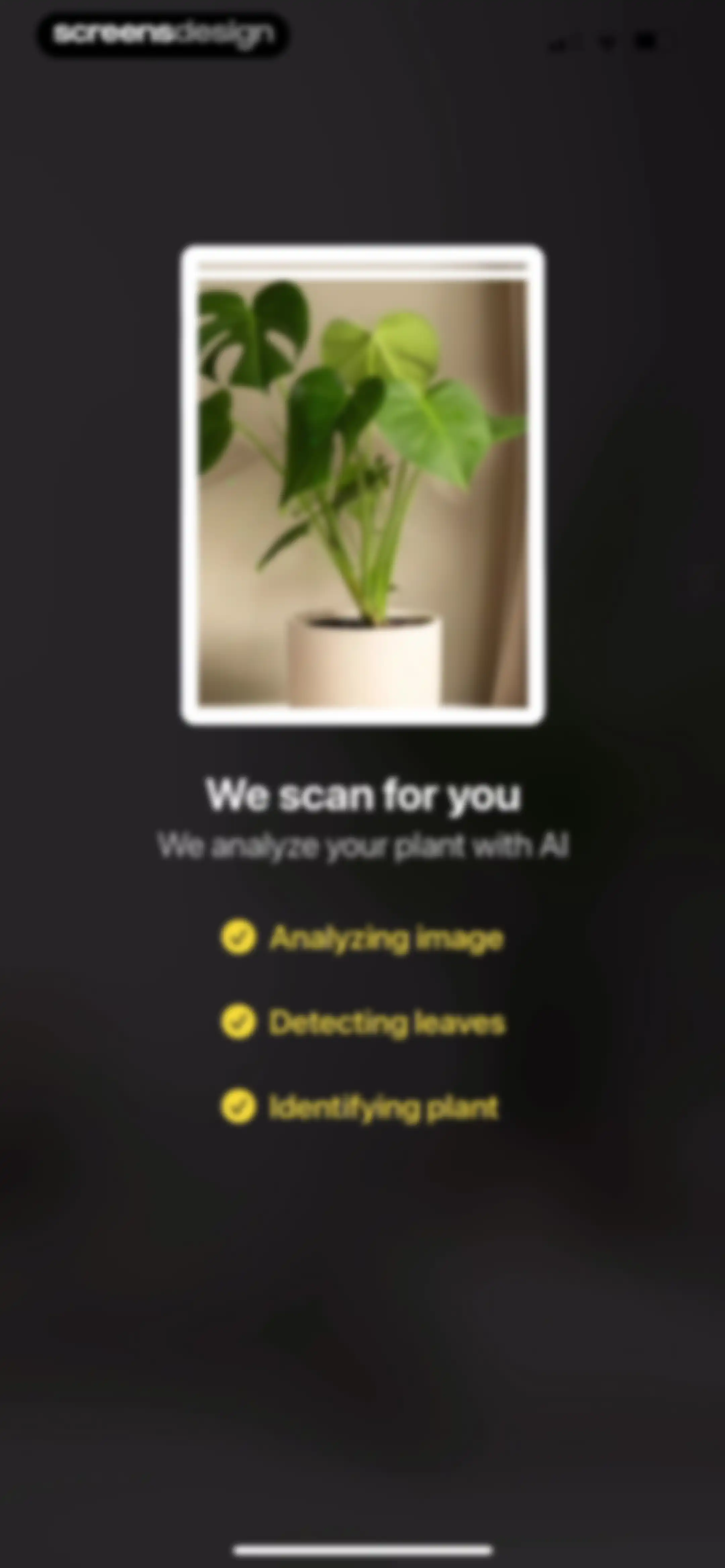 Plant App: Plant Identifier screen 15