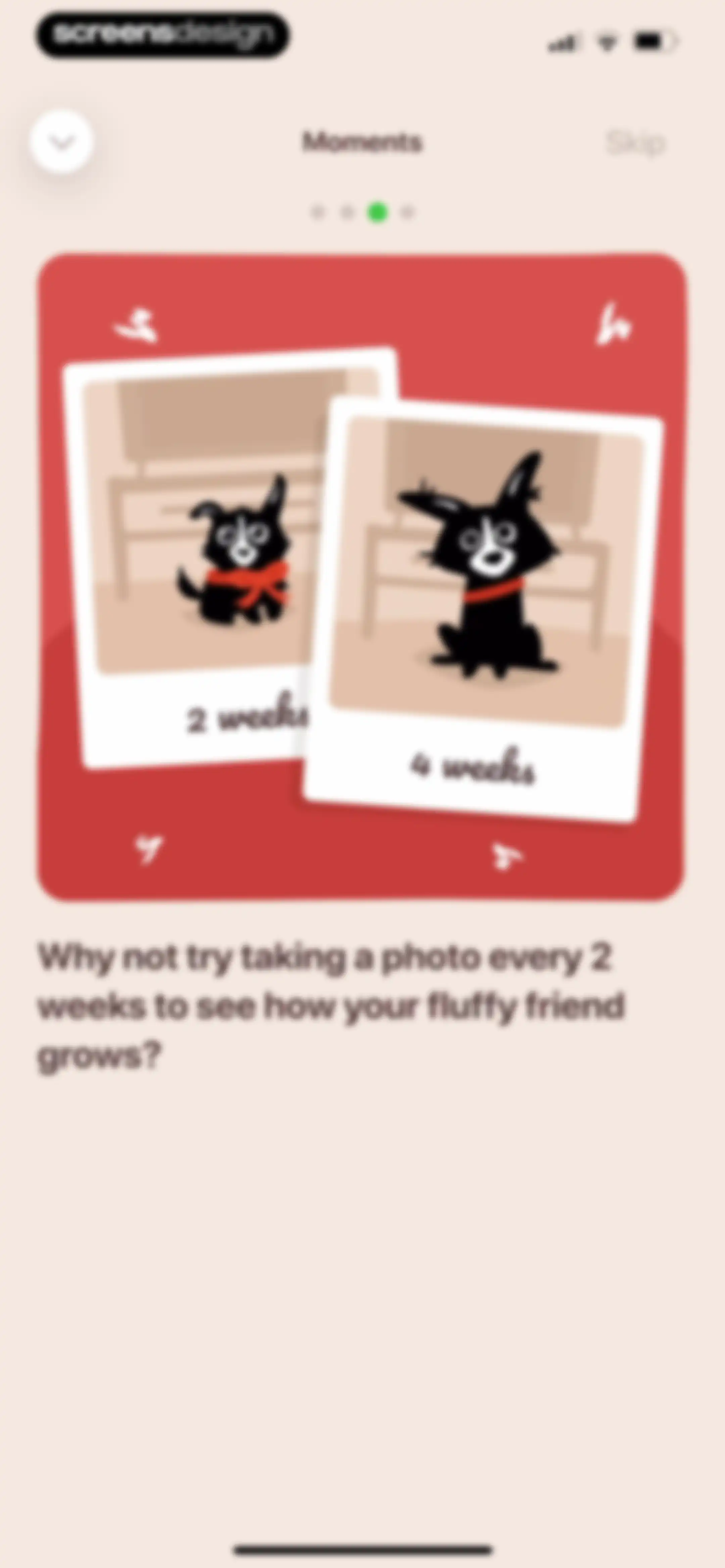Woofz - Puppy and Dog Training screen 211