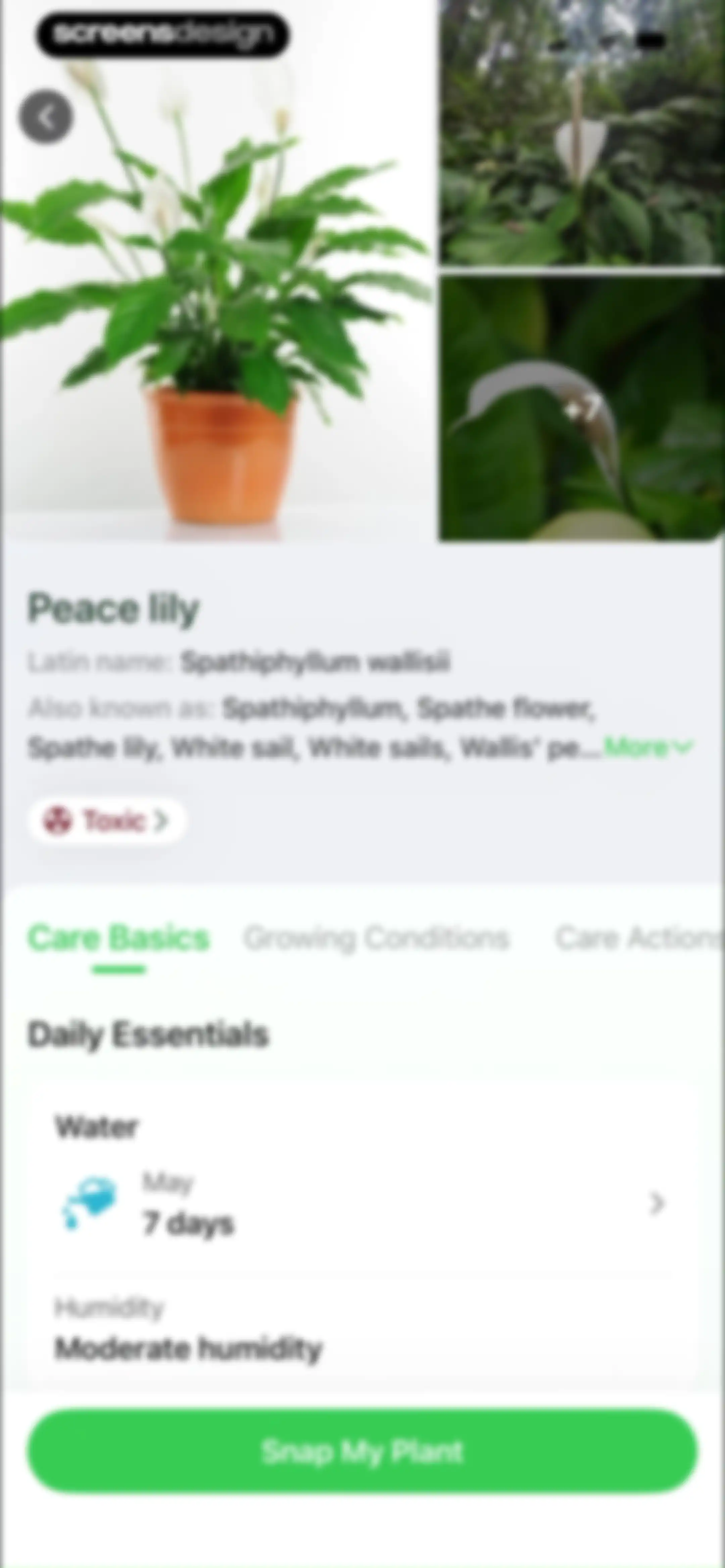 Plant Identifier & Plant Care. screen 16
