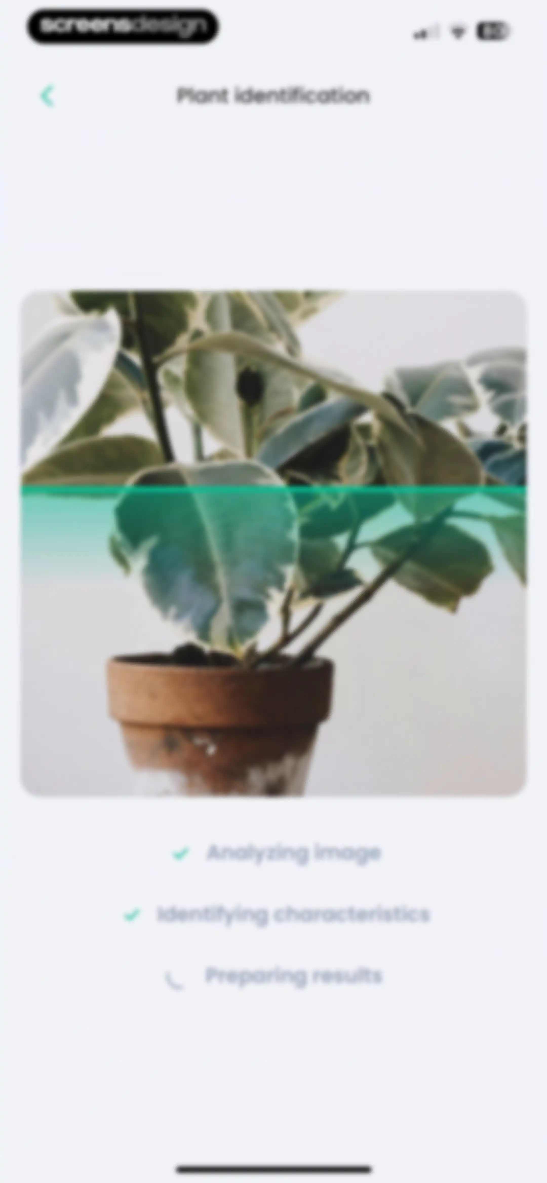 PlantIn: Plant Identifier・Care screen 145