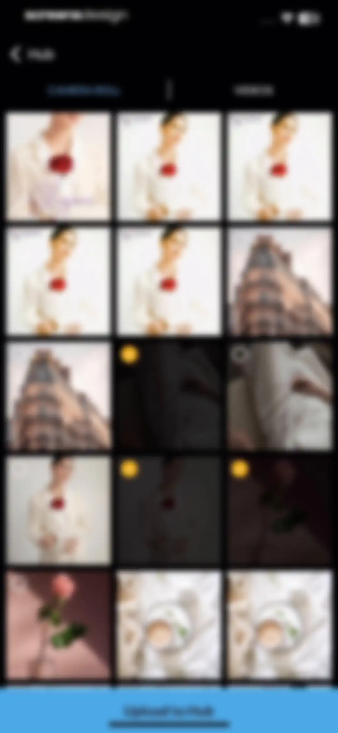 PicMonkey Photo + Video Design screen 91
