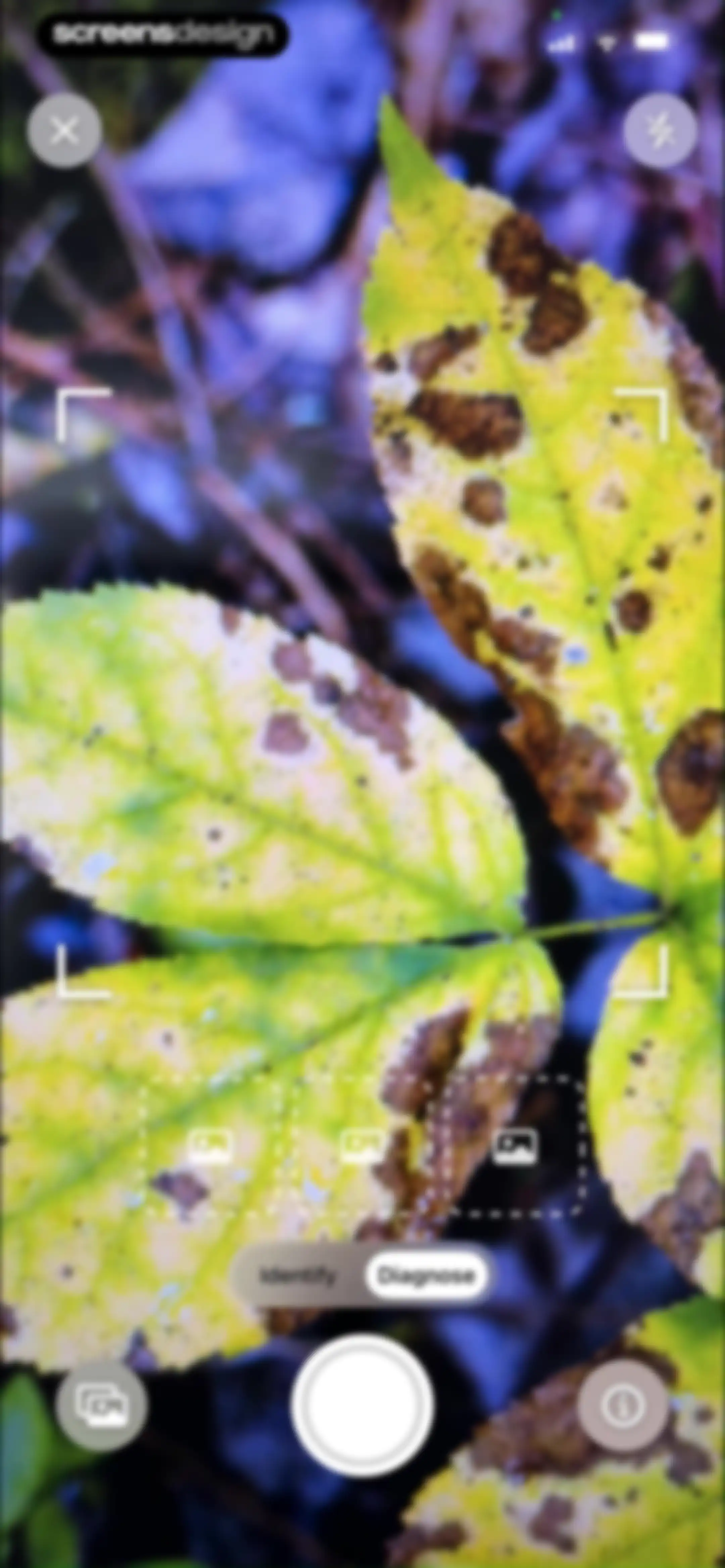FloraSnap: Plant Scanner screen 49